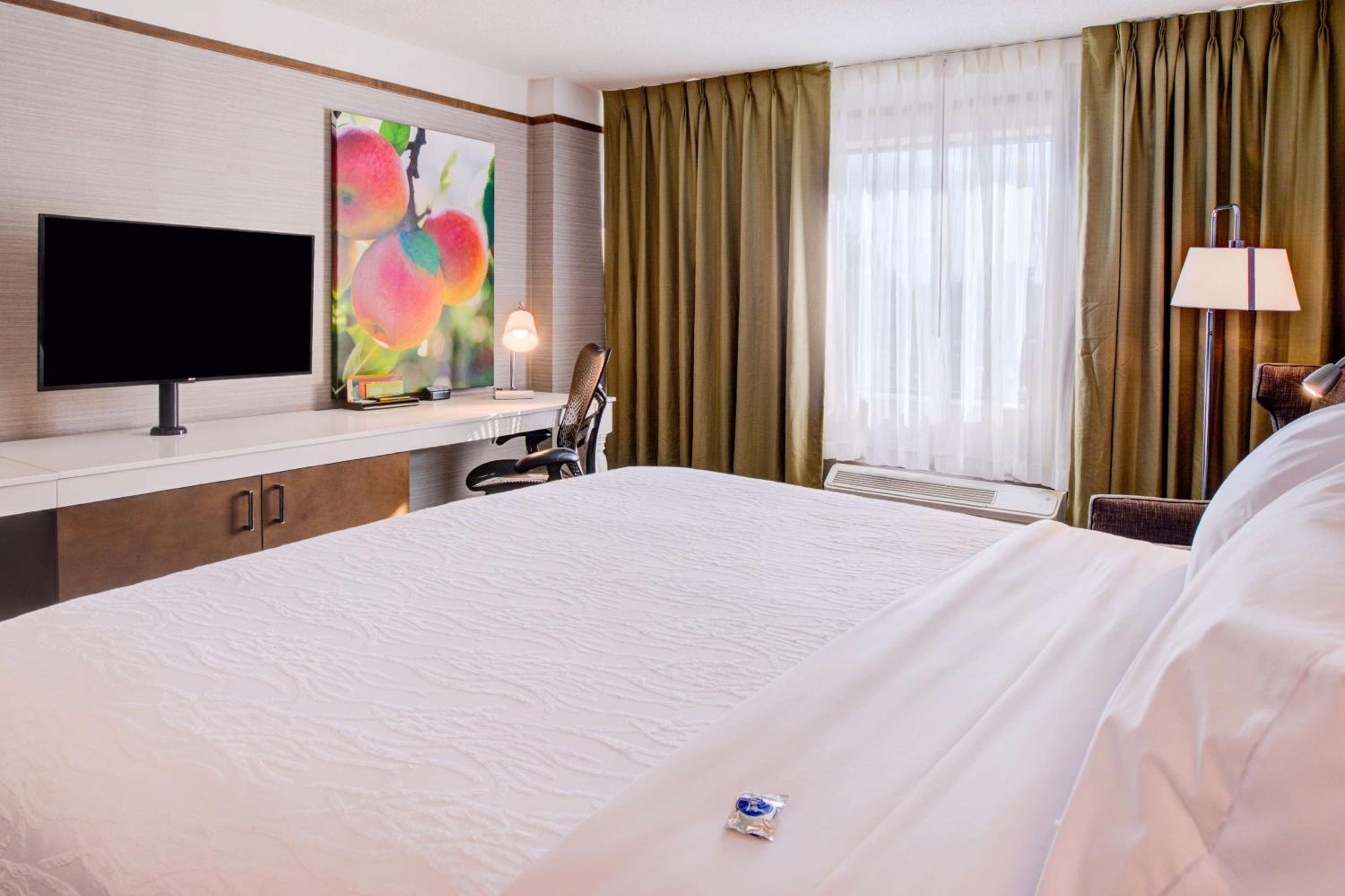 King Room - Photo 1