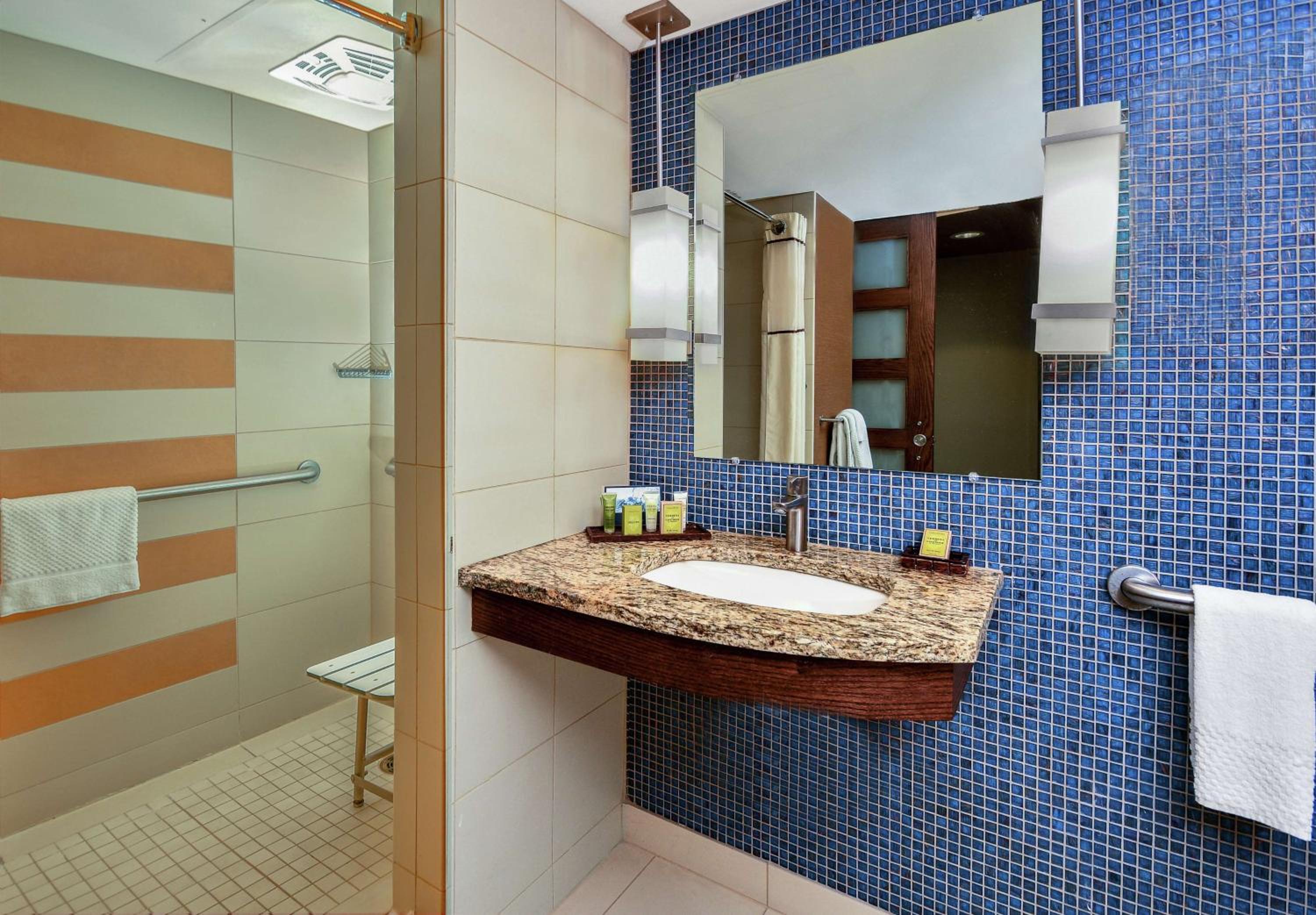 King Room with Roll-In Shower and City View - Mobility Access - Photo 4