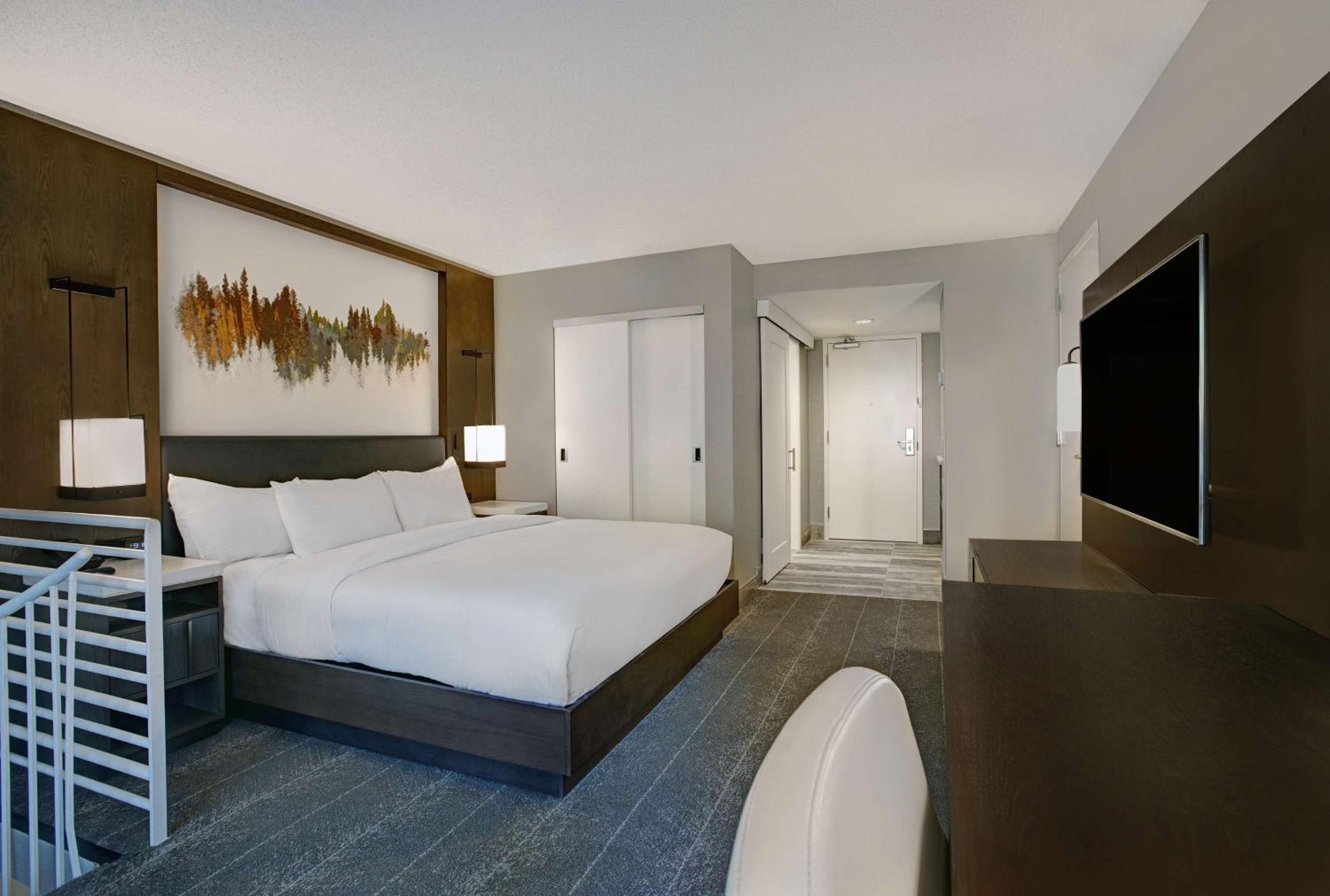 One-Bedroom Two Level King Suite photo 3