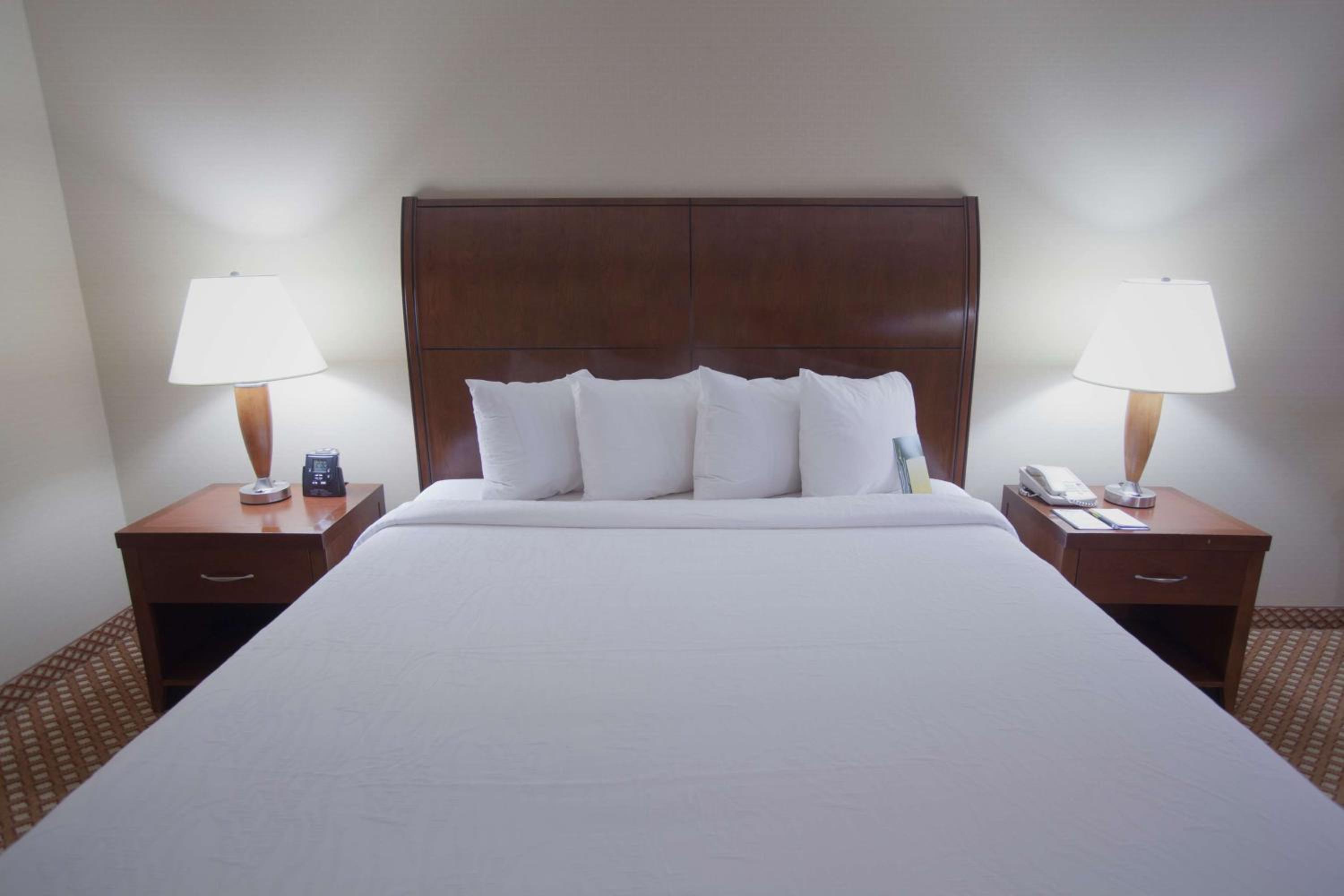 Junior King Suite - Photo 1