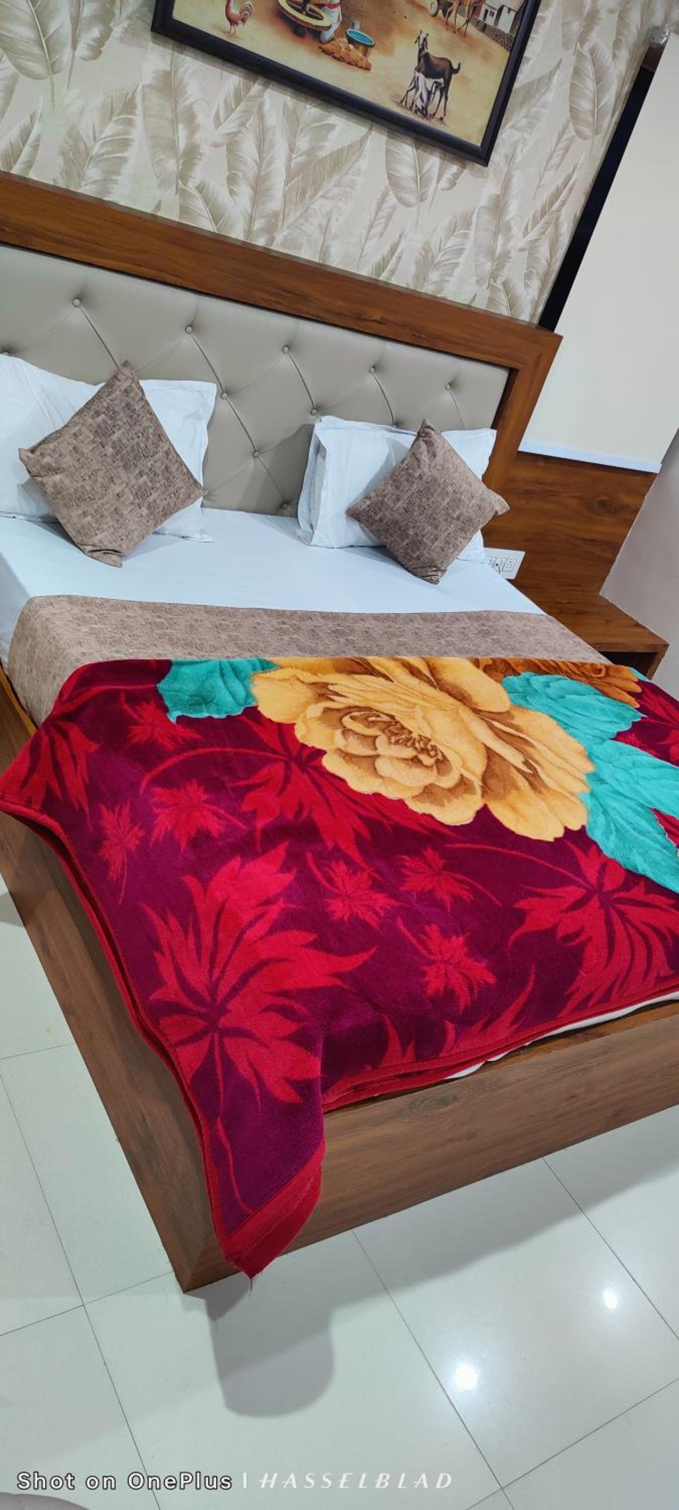 Superior Queen Room - Photo 14