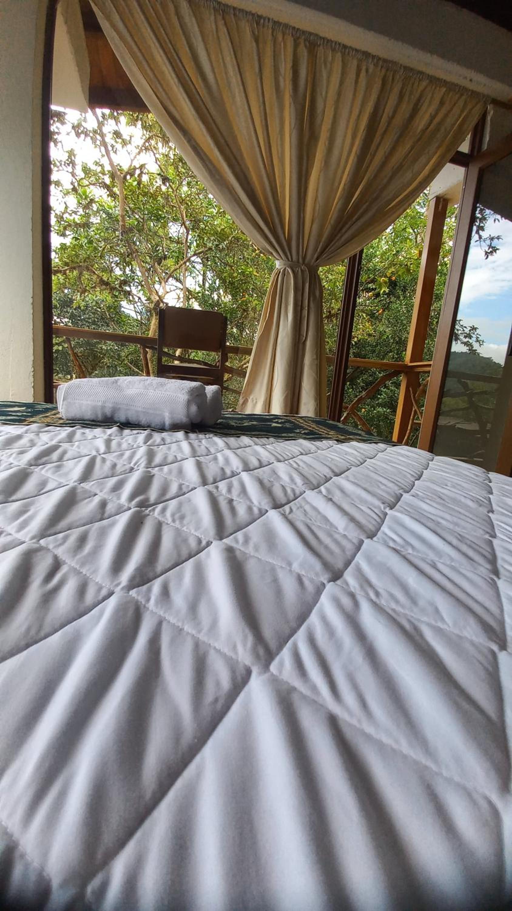 Deluxe Double Room with Balcony photo 2