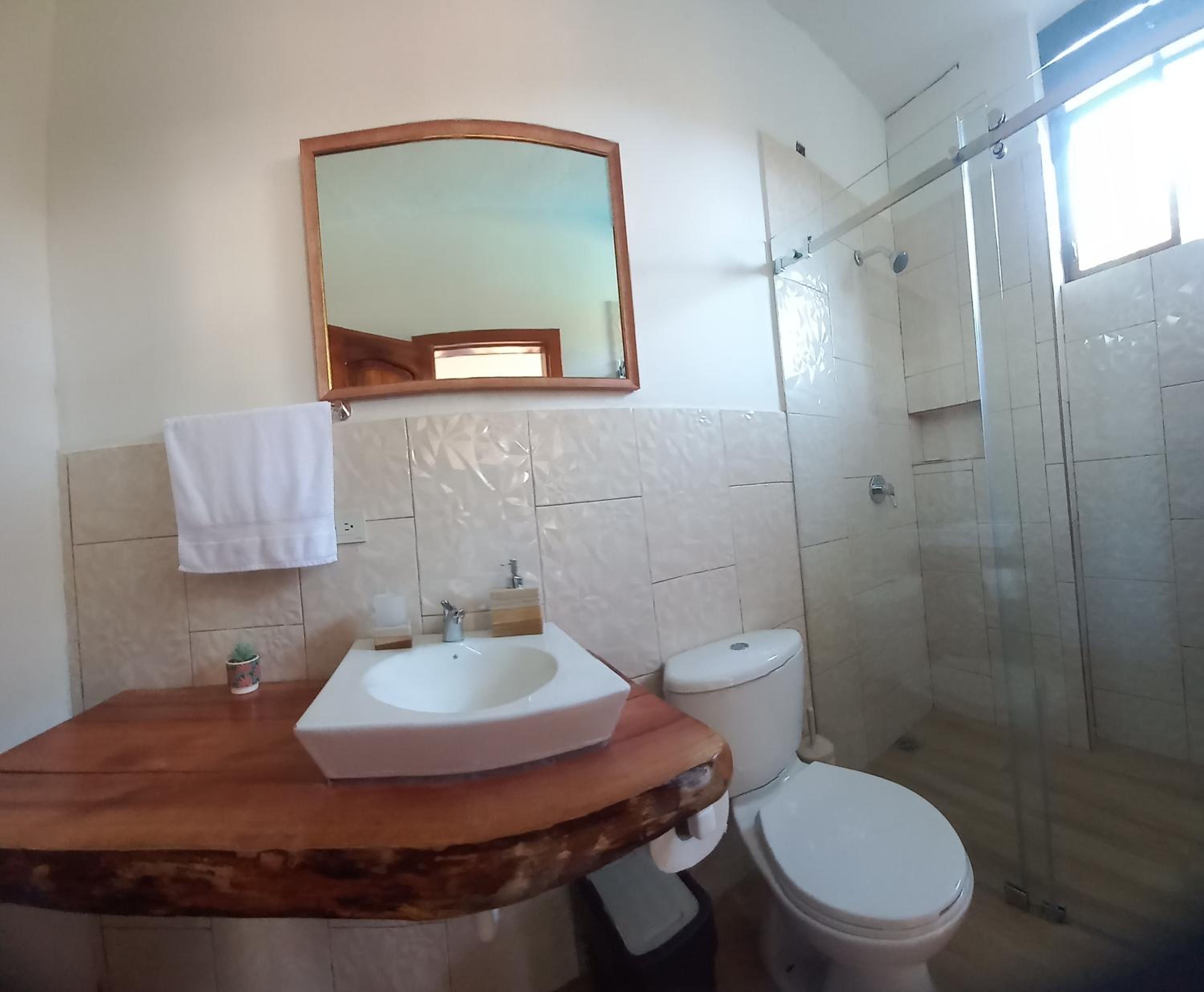 Double Room with Garden View photo 3
