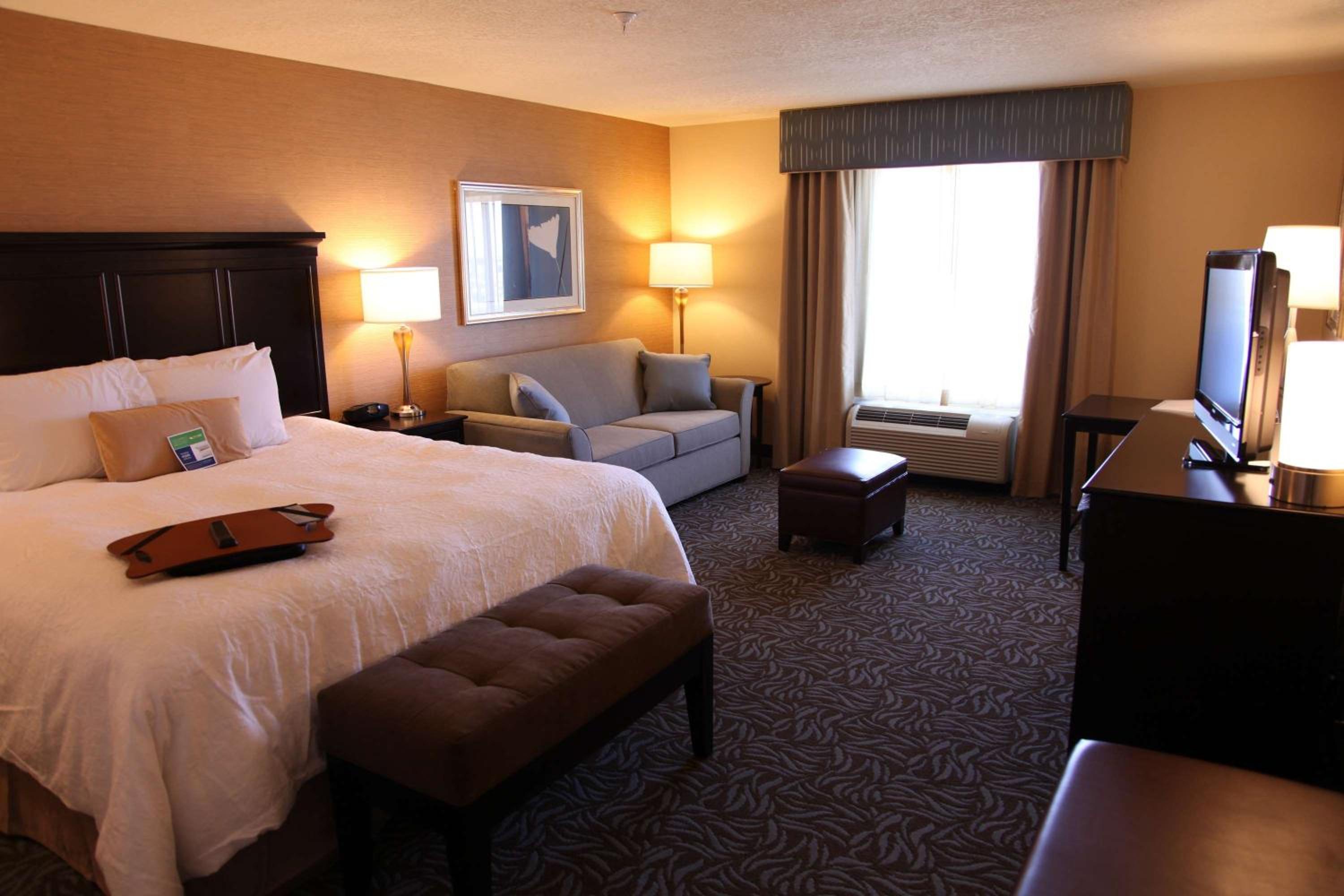 King Studio Suite with Sofa Bed - Non-Smoking - Photo 1