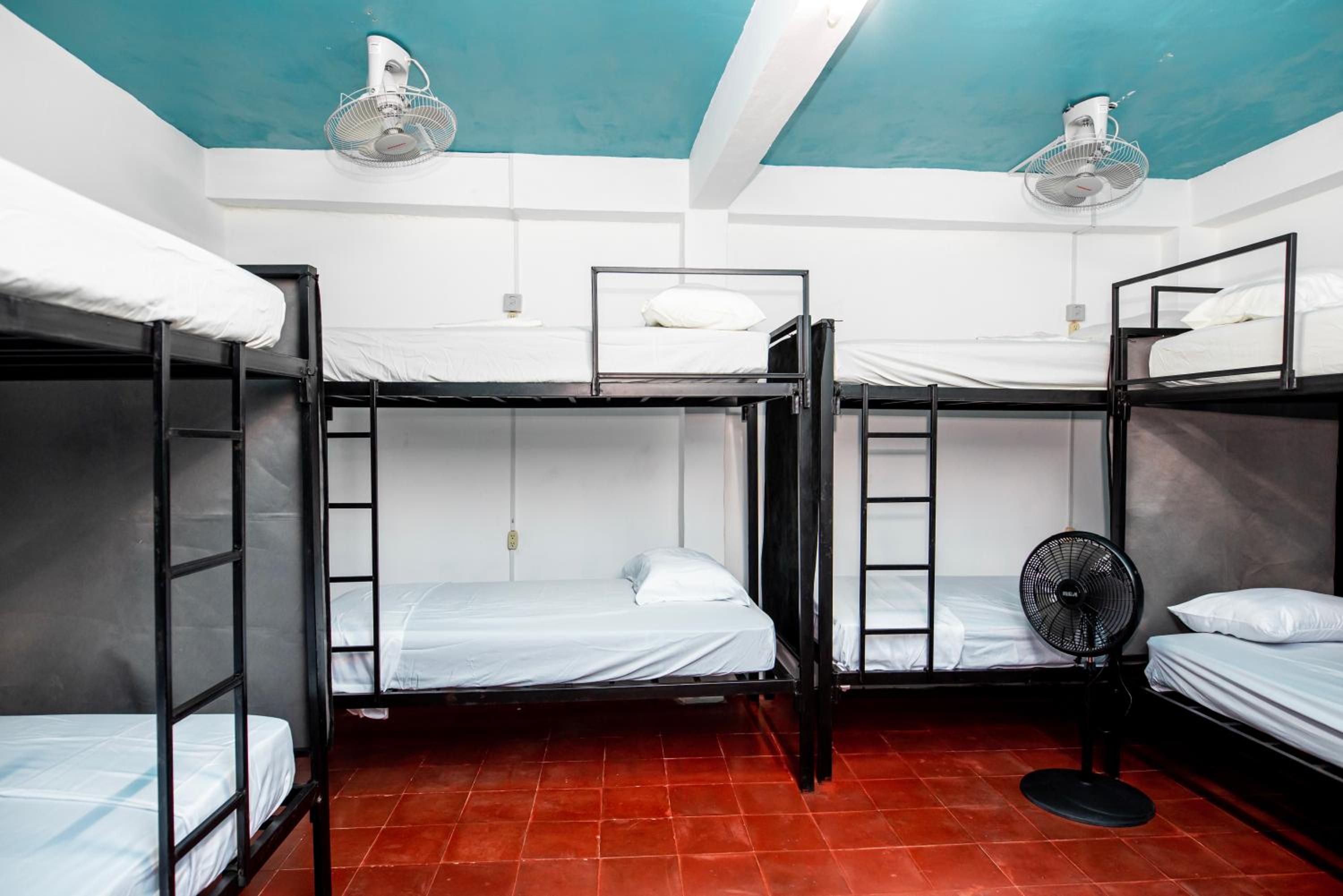 Bunk Bed In Mixed Dormitory Room photo 1