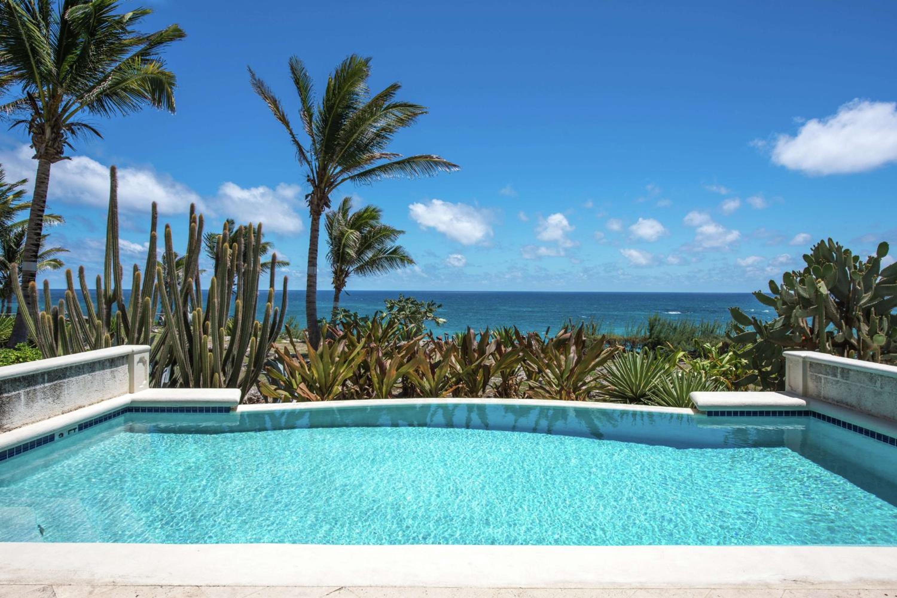 One-Bedroom King Suite with Ocean View and Pool - Photo 2