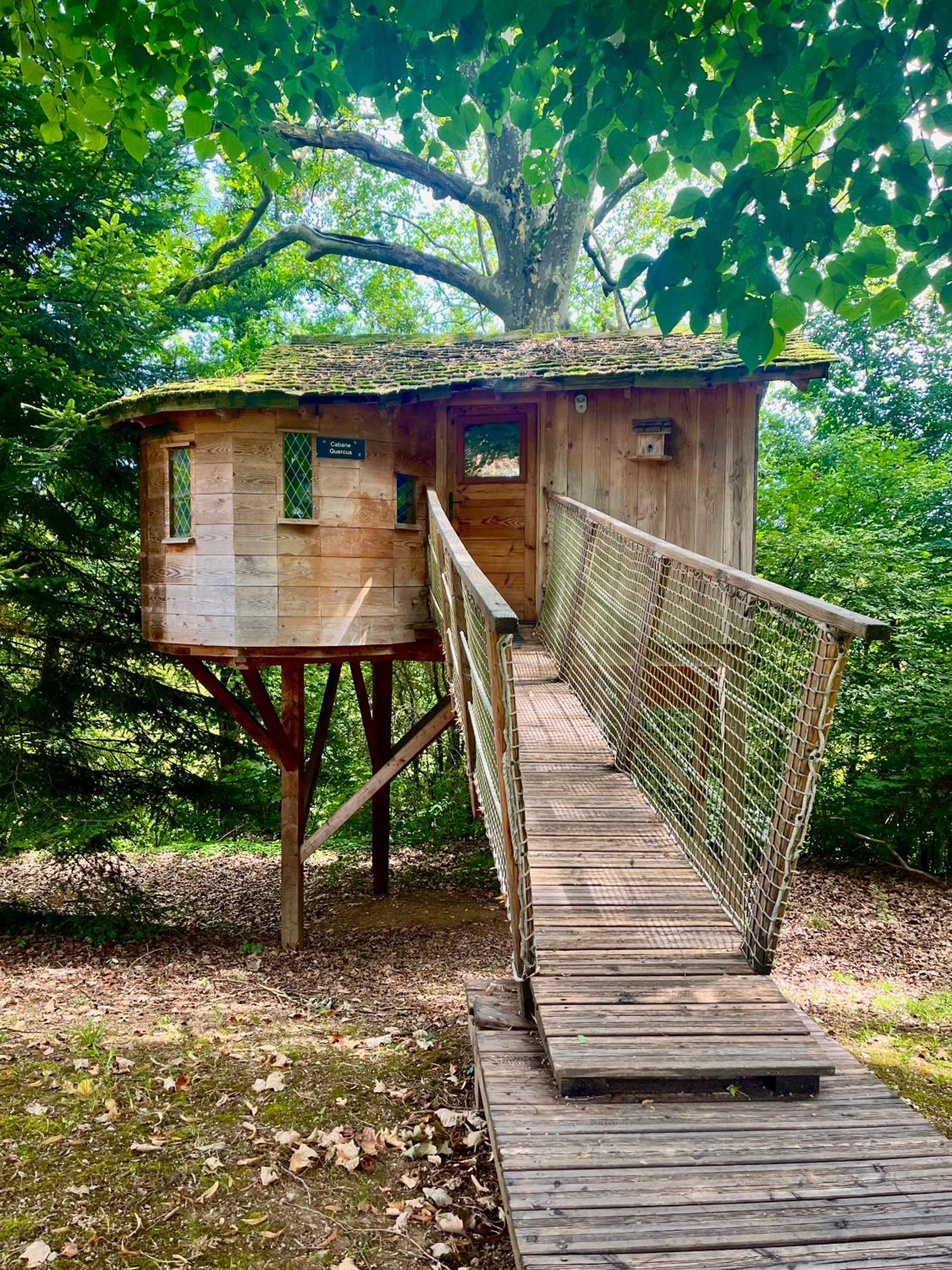 Caban Q - Photo 3
