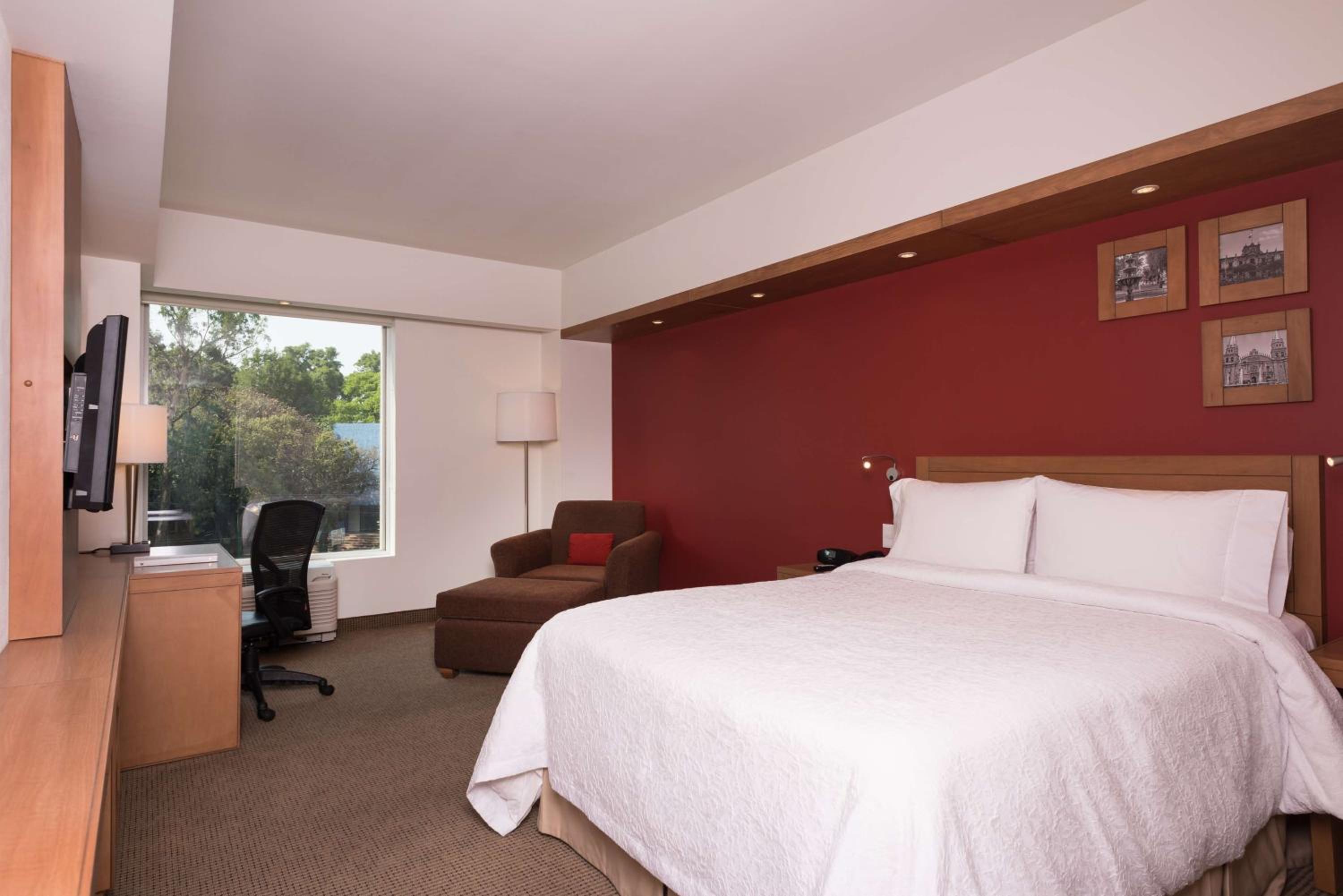 Junior Queen Suite