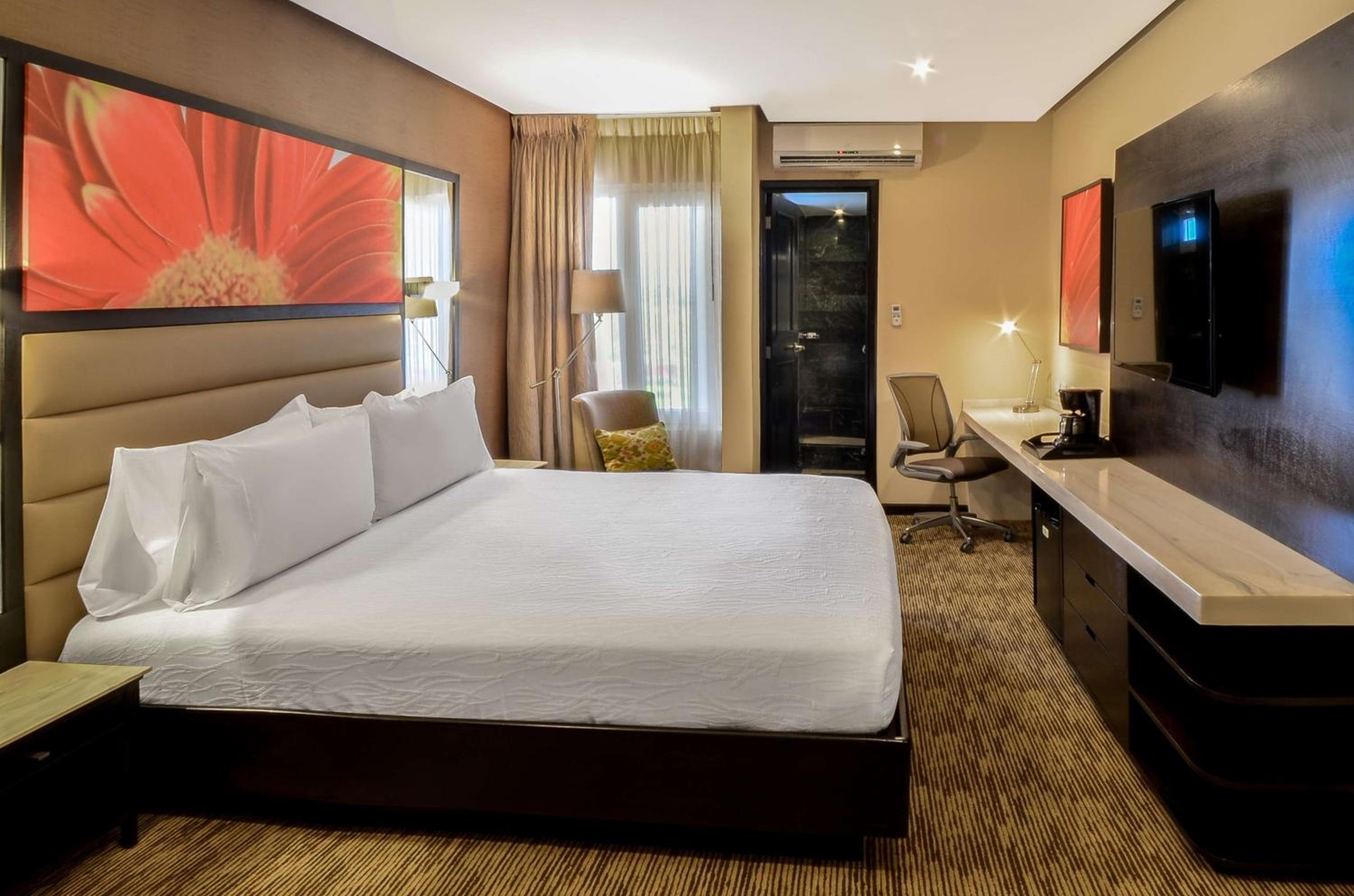 King Room - Photo 3