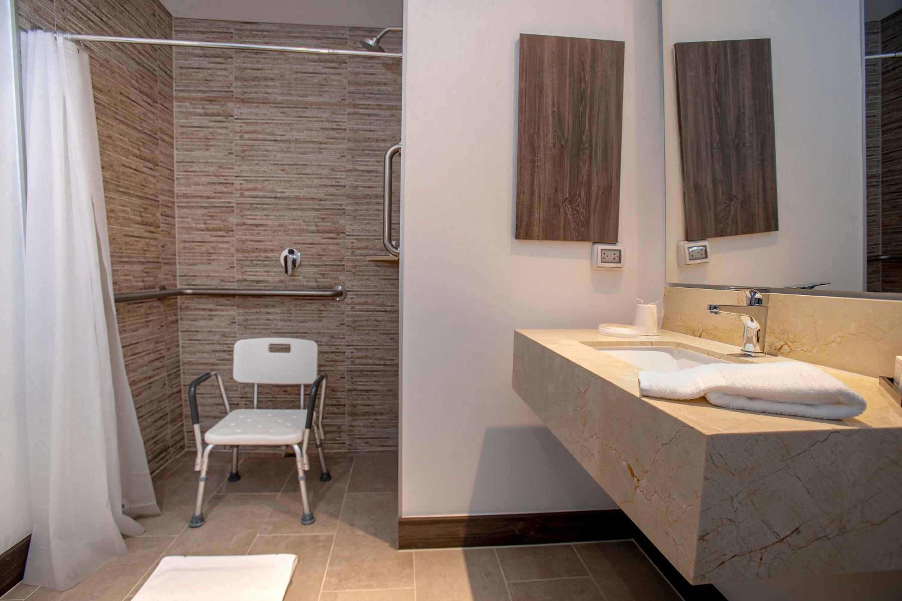 Queen Room with Roll-In Shower - Mobility Accessible/Non-Smoking - Photo 3