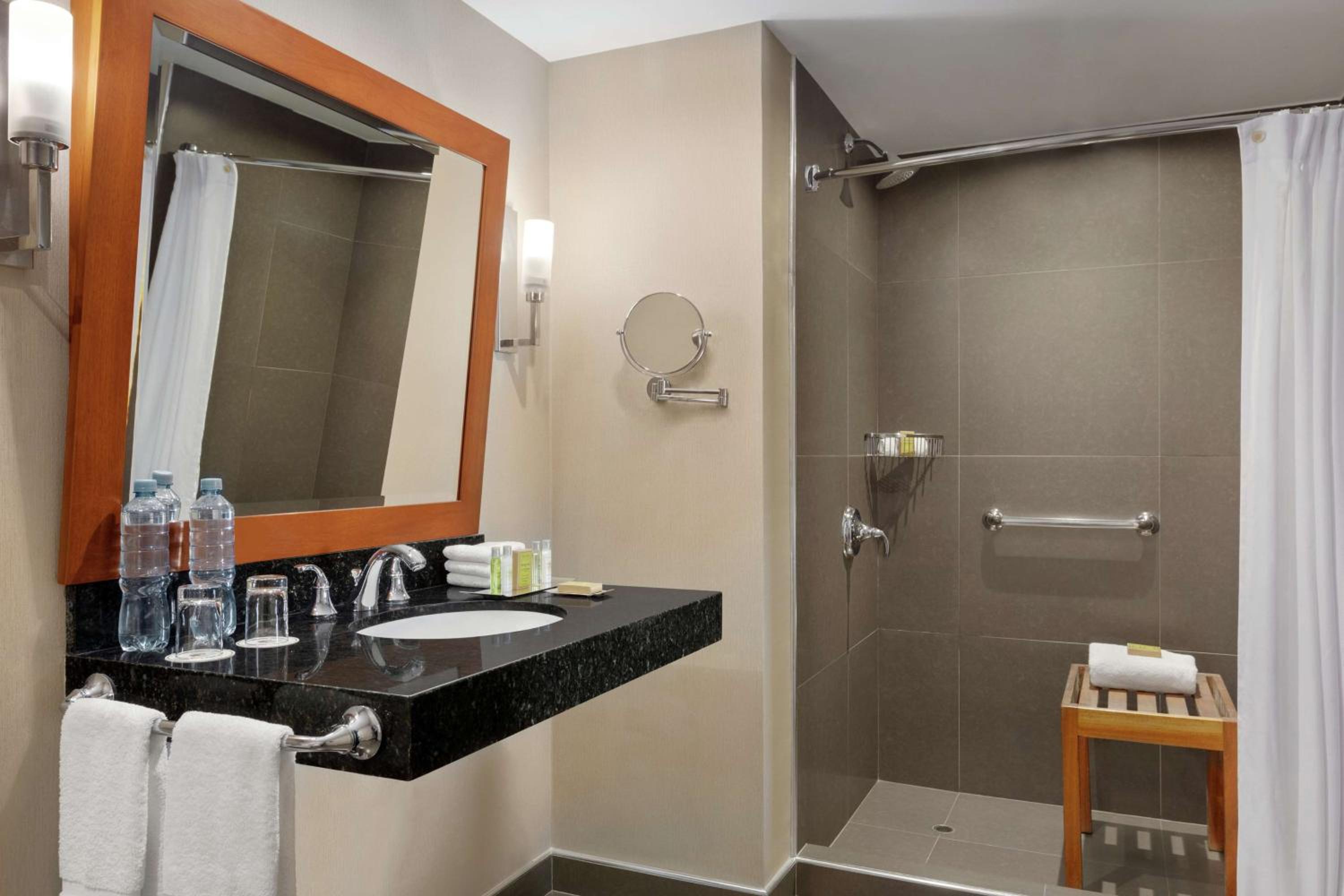 King Suite - Mobility Accessible - Photo 3