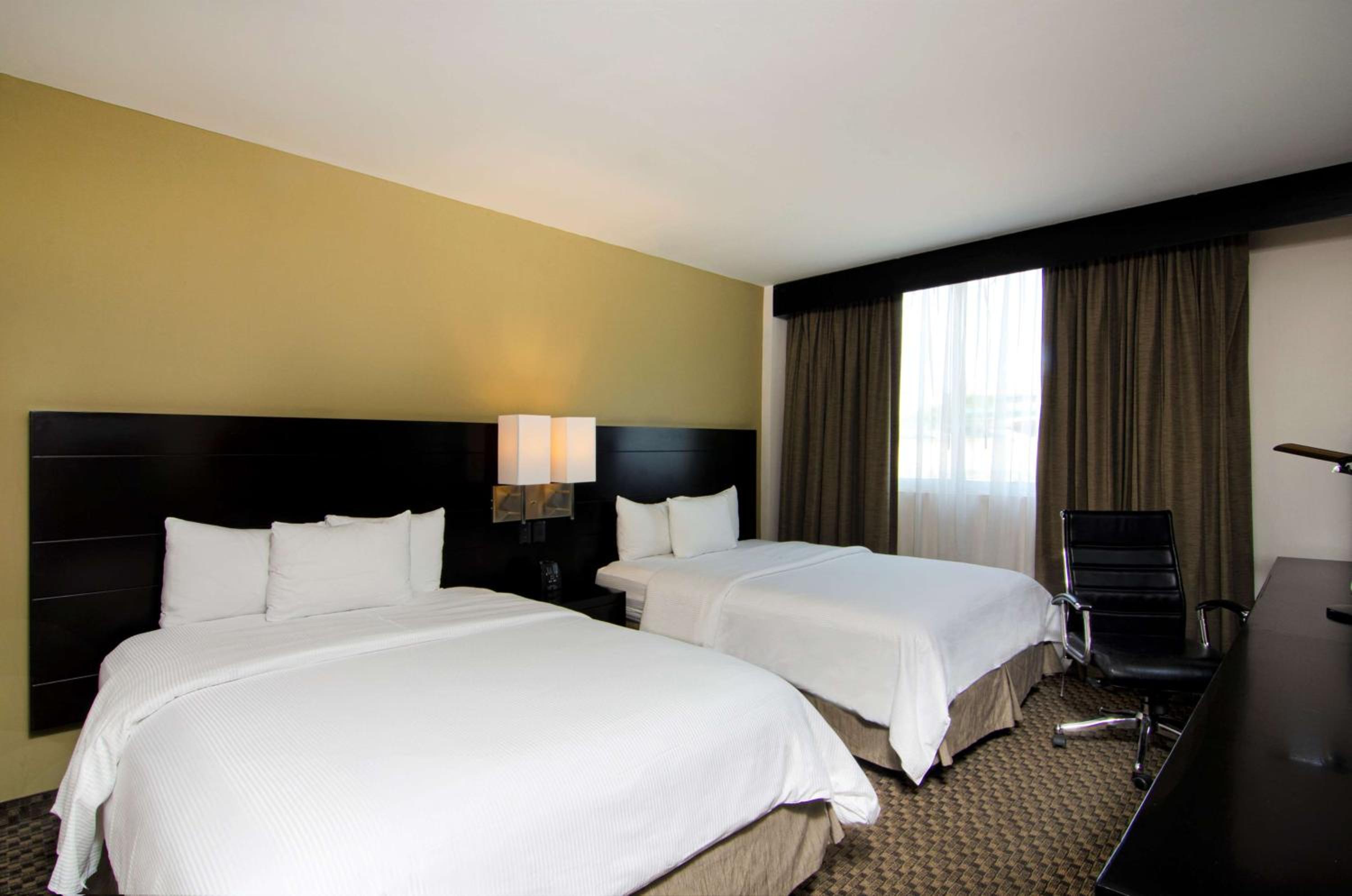 Queen Room with Two Queen Beds - Non-Smoking - Photo 8