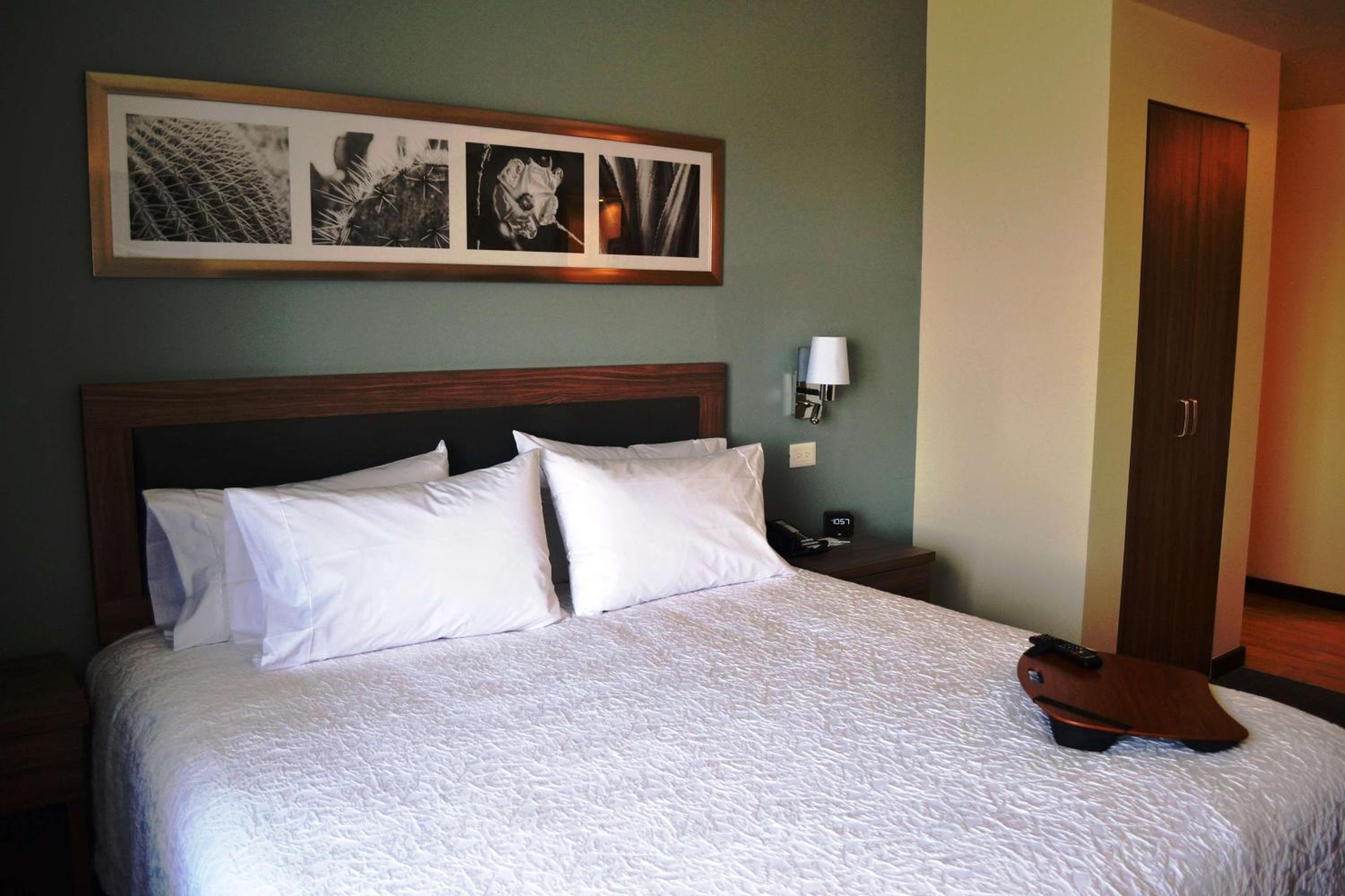 King Room with Roll-In Shower - Mobility Access/Non-Smoking photo 2