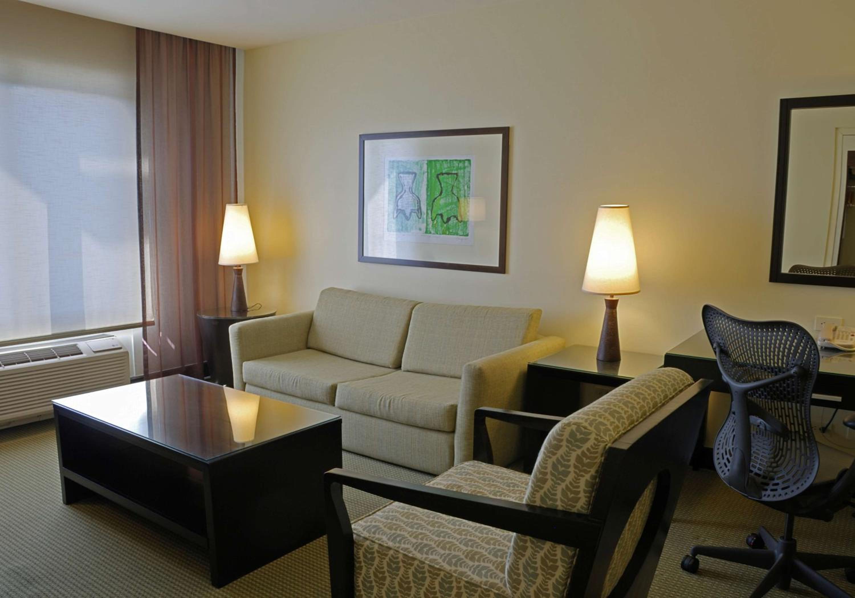 One-Bedroom King Suite