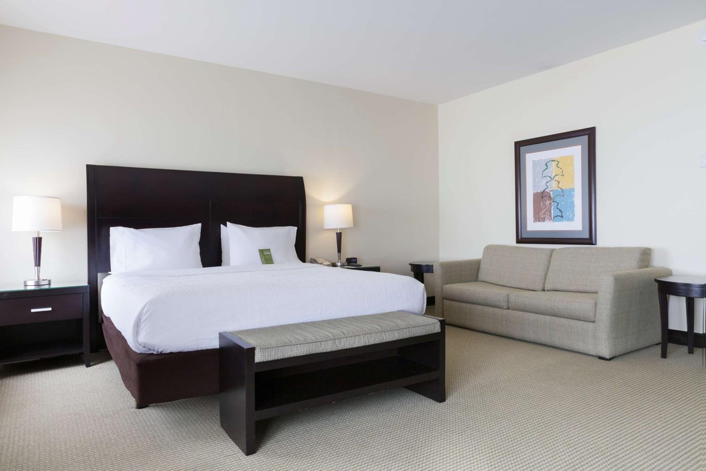 One-Bedroom King Suite photo 2