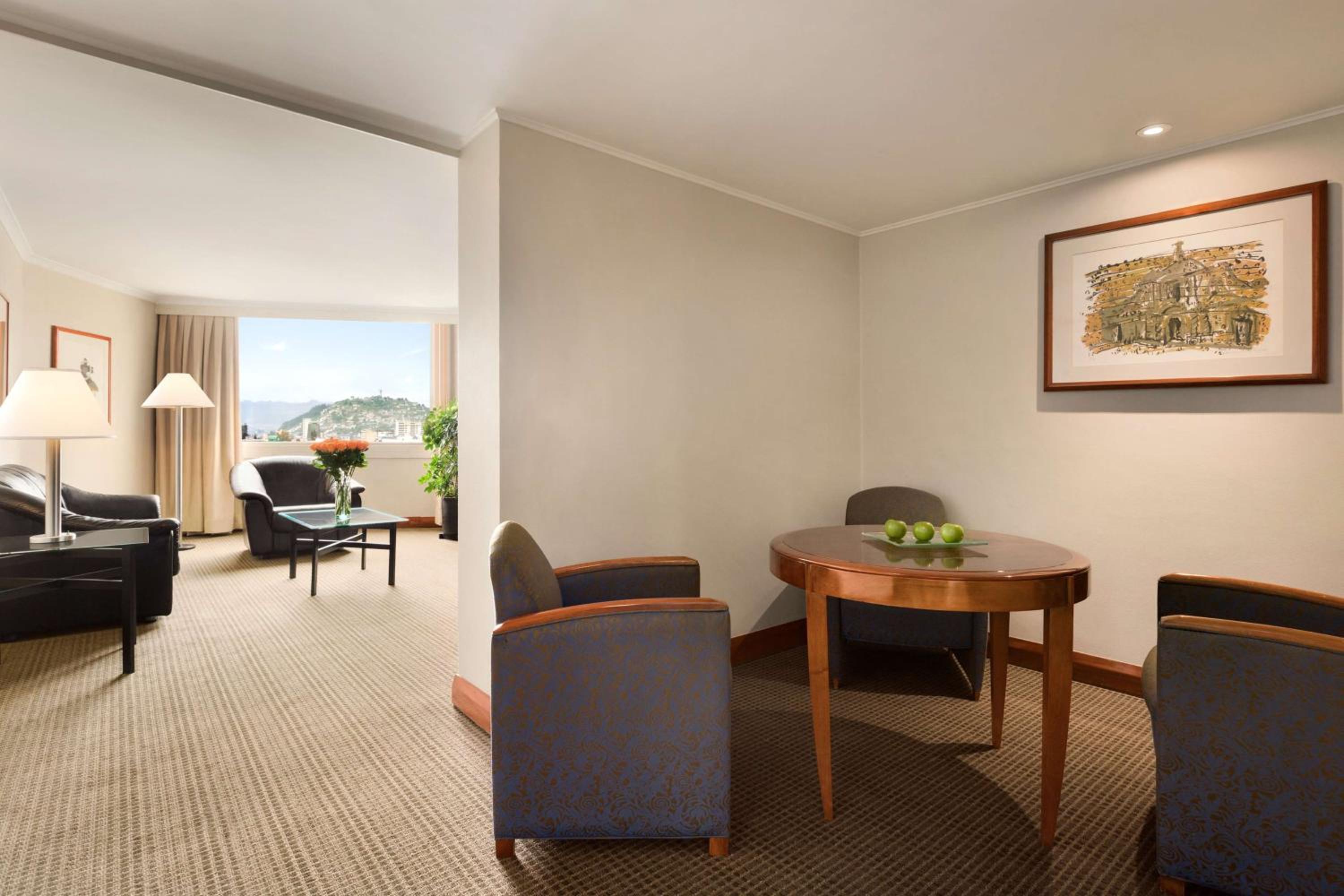 King Suite photo 1