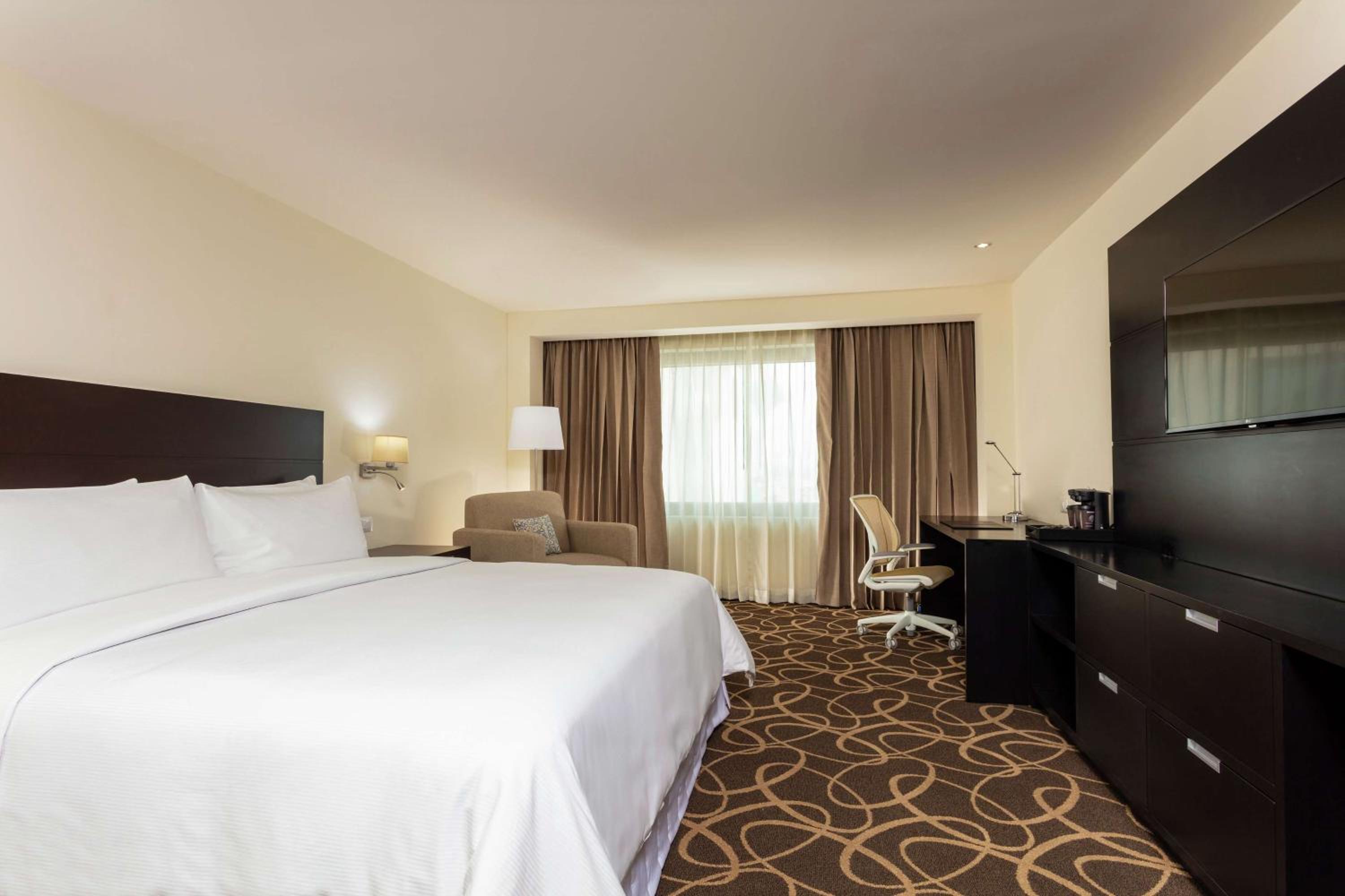 Two-Room King Suite - Photo 6