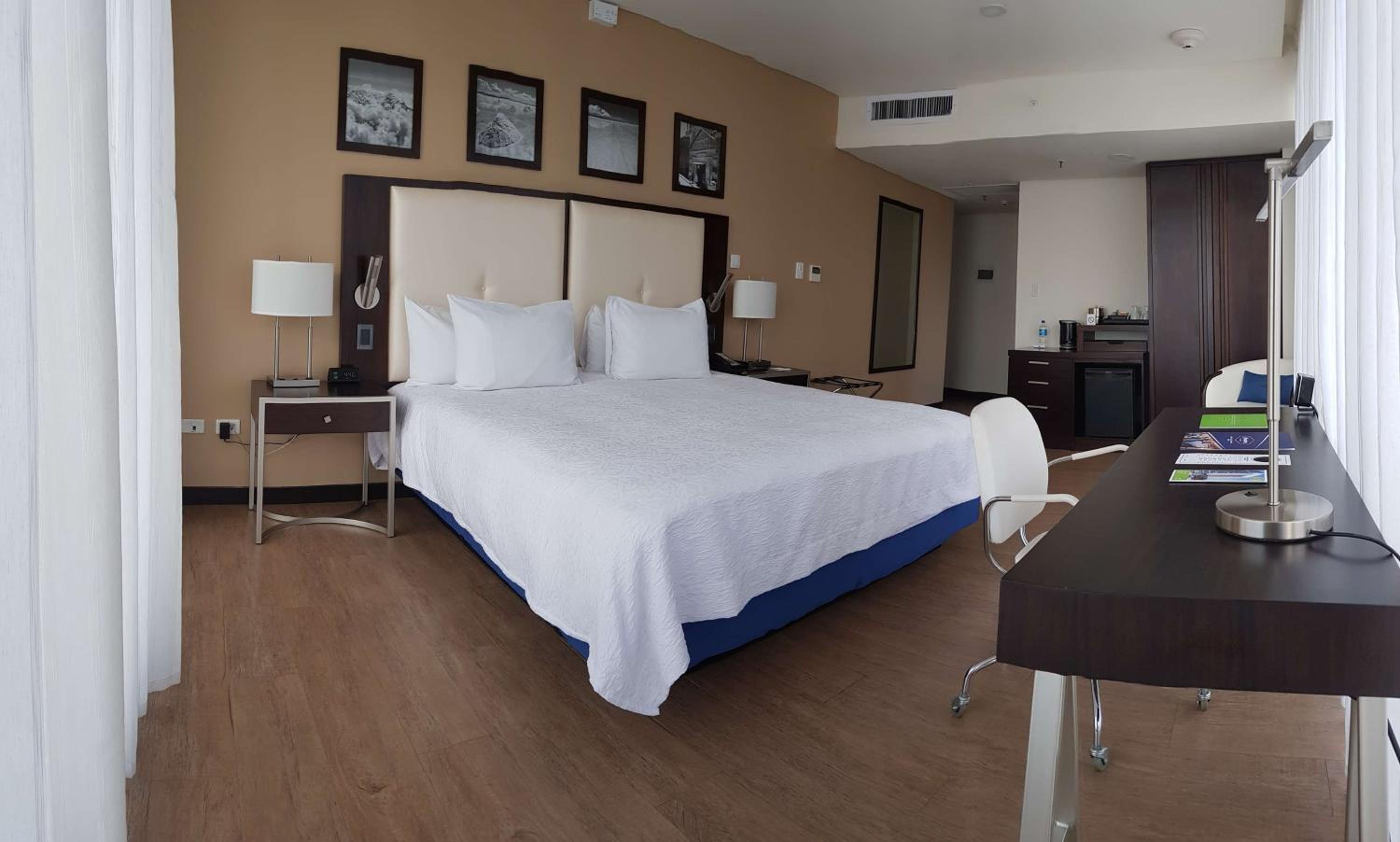 King Room with Panoramic View photo 3