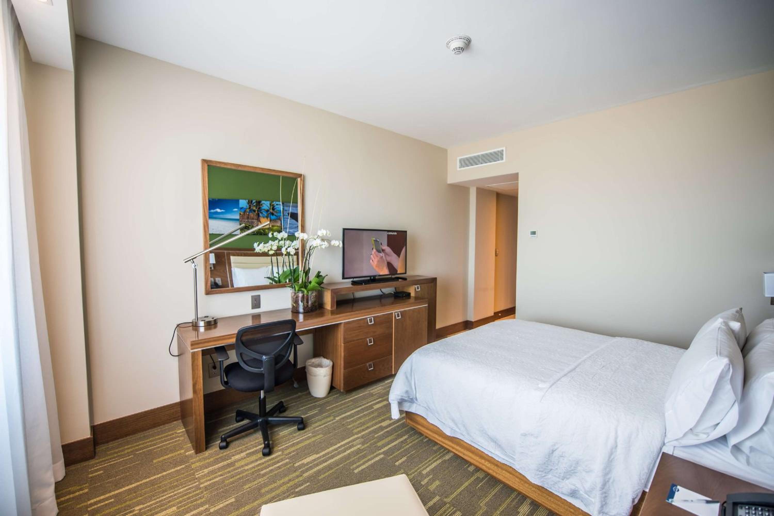 Queen Room with Roll-In Shower - Mobility Accessible/Non-Smoking