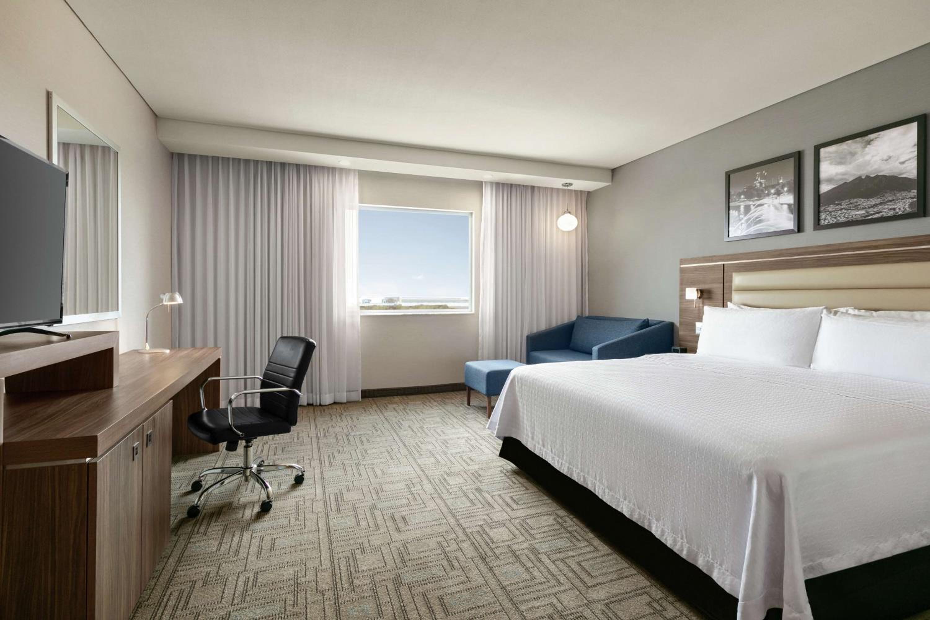 Room, 1 King Bed, Refrigerator
