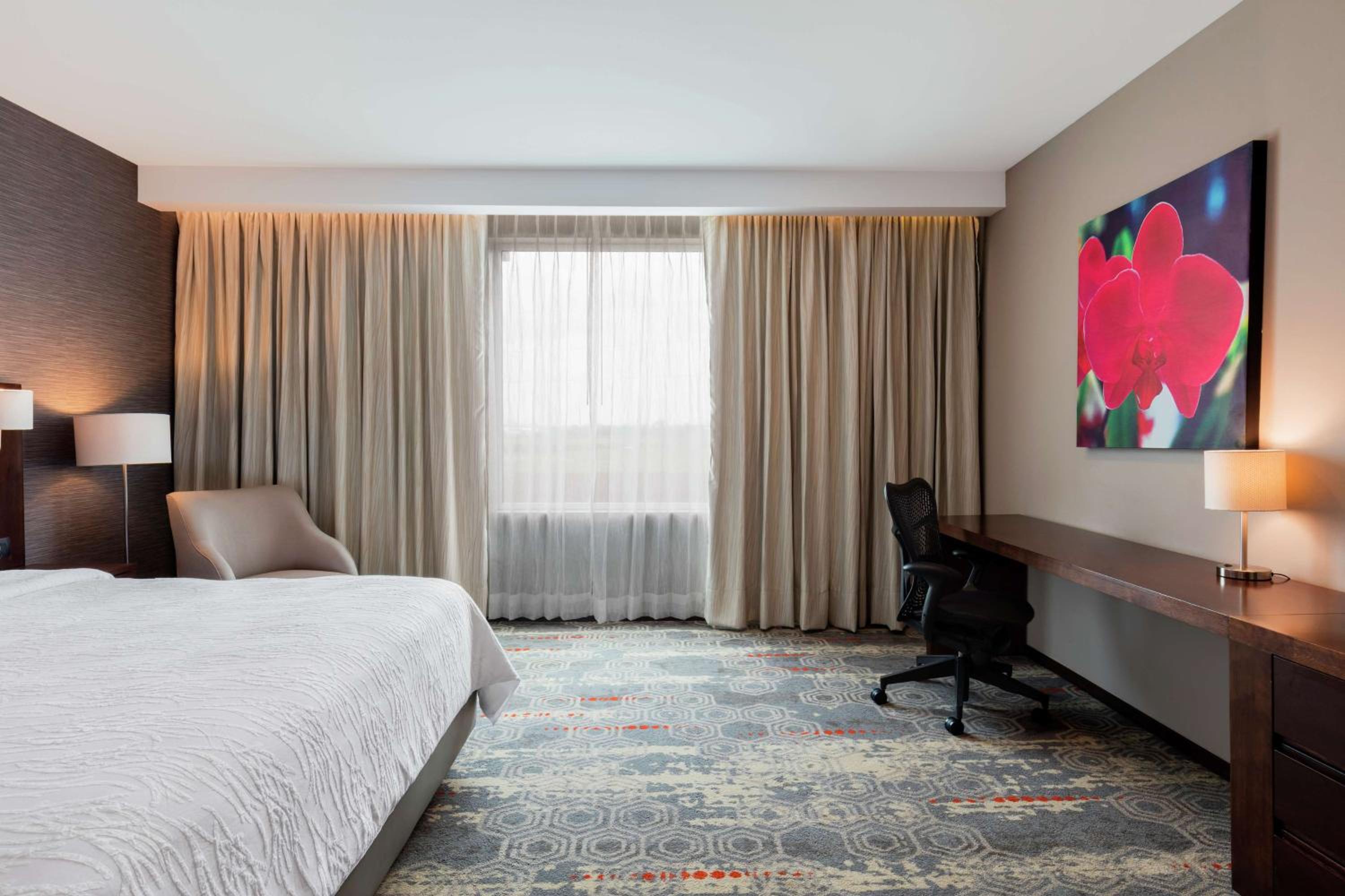 Queen Room with Roll-In Shower - Mobility and Hearing Access photo 2