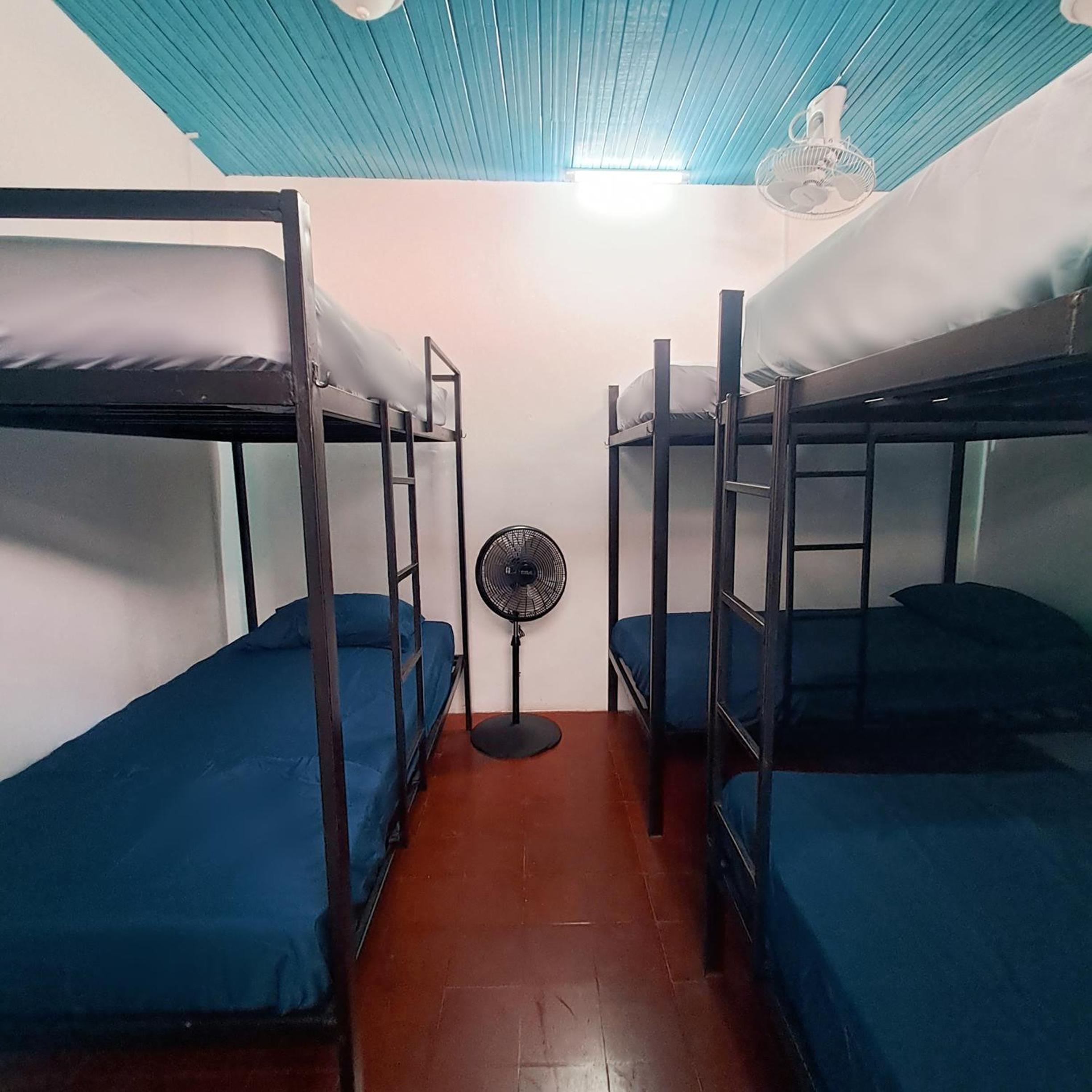 Bunk Bed in Mixed Dormitory Room photo 1