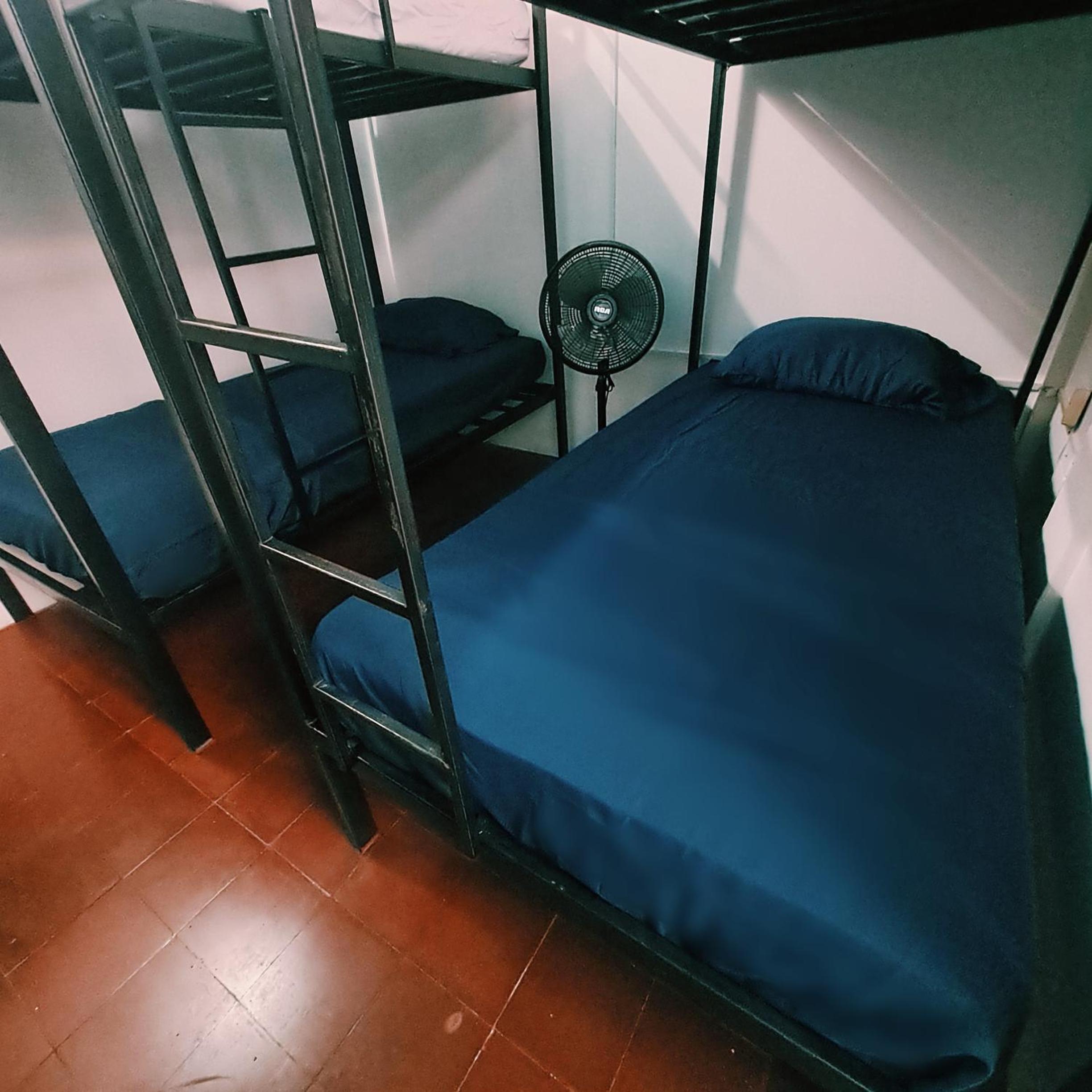 Bunk Bed in Mixed Dormitory Room photo 2