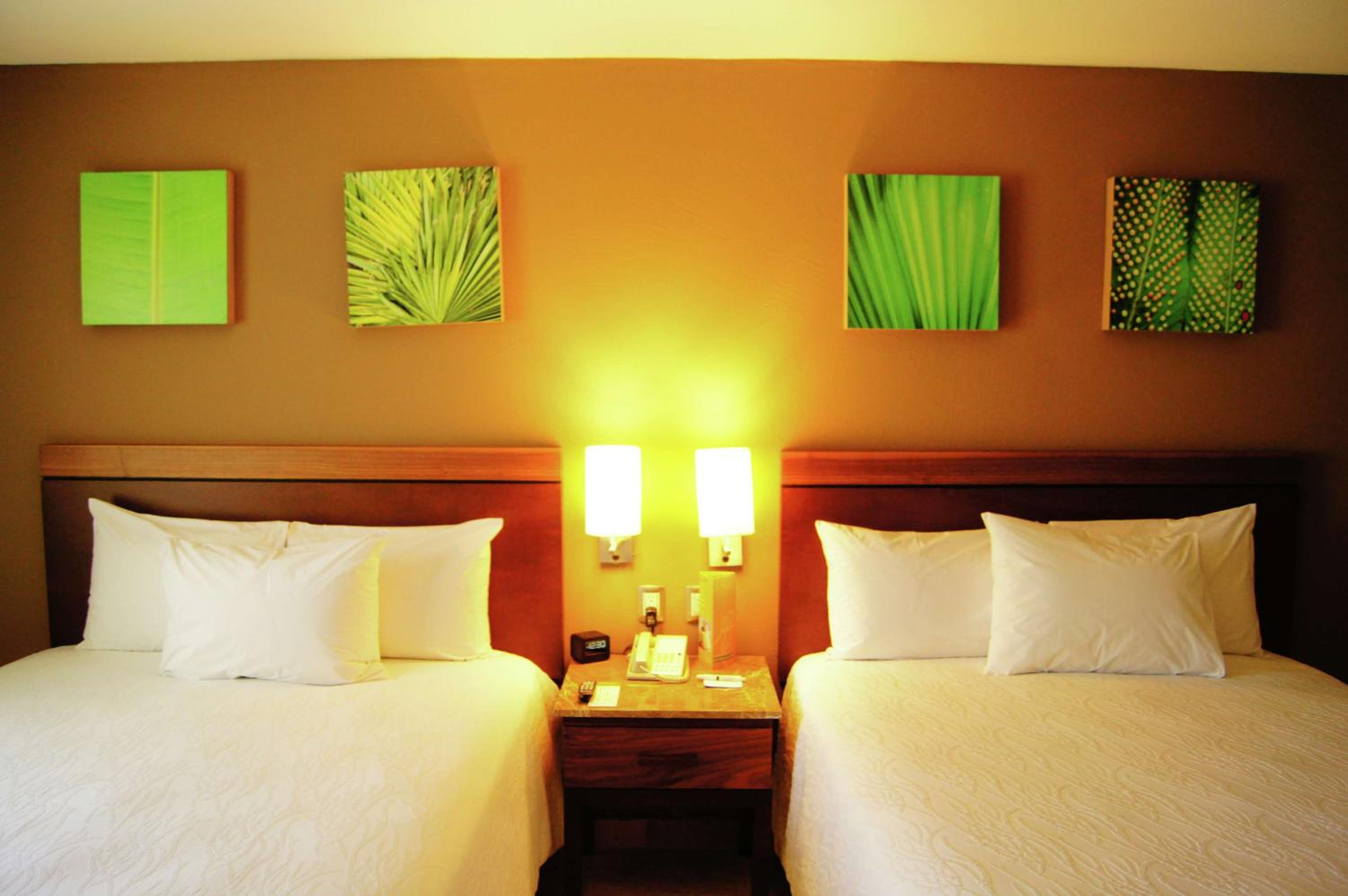 Queen Room with Two Queen Beds and City View photo 3