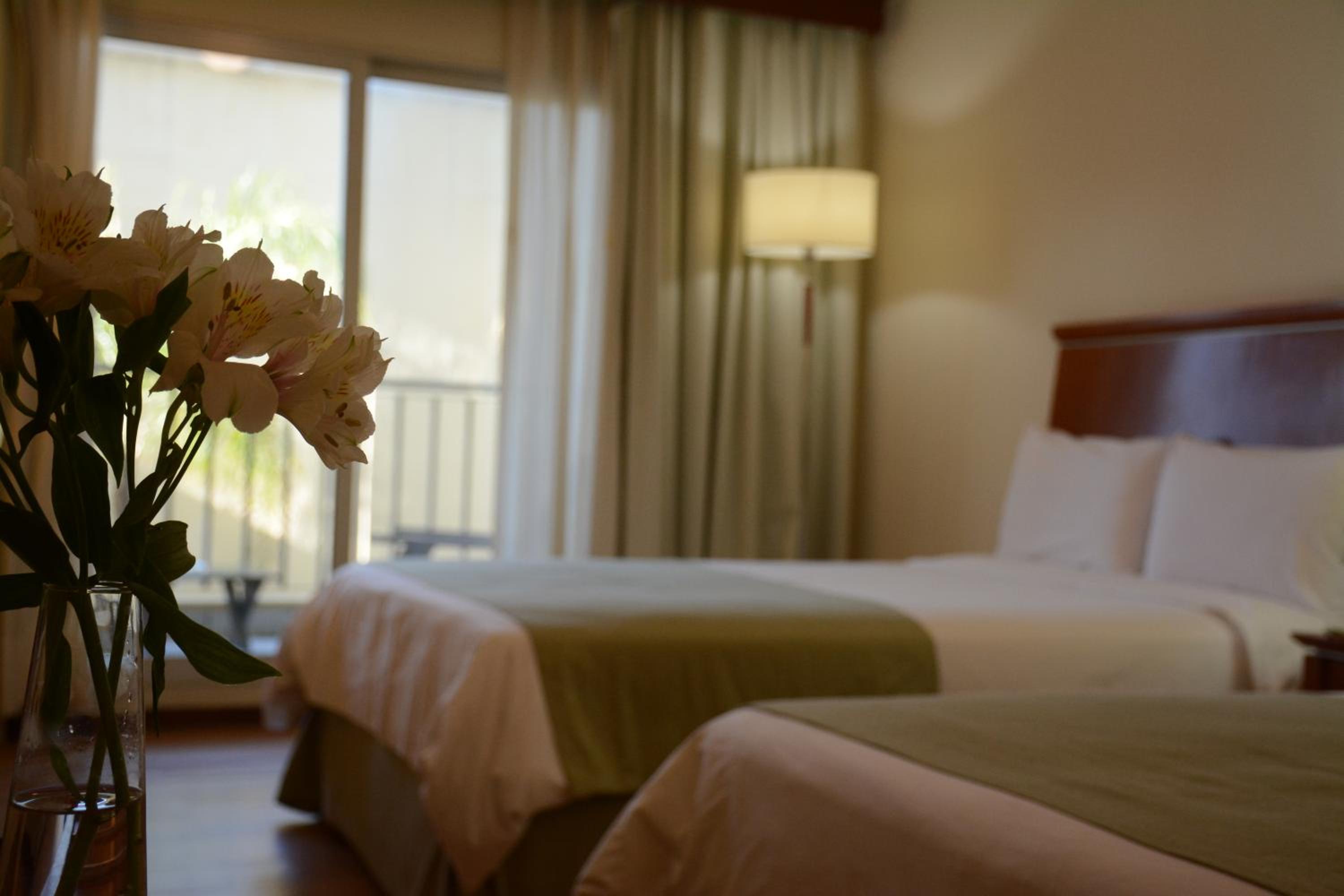 Standard Twin Room photo 1