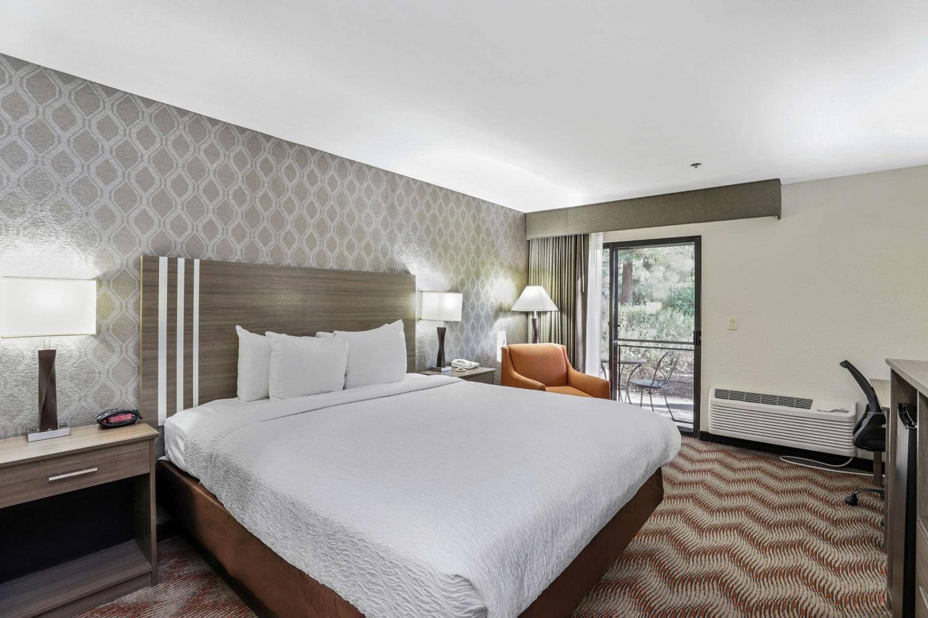 King Room with Woods View - Non Smoking - Photo 4