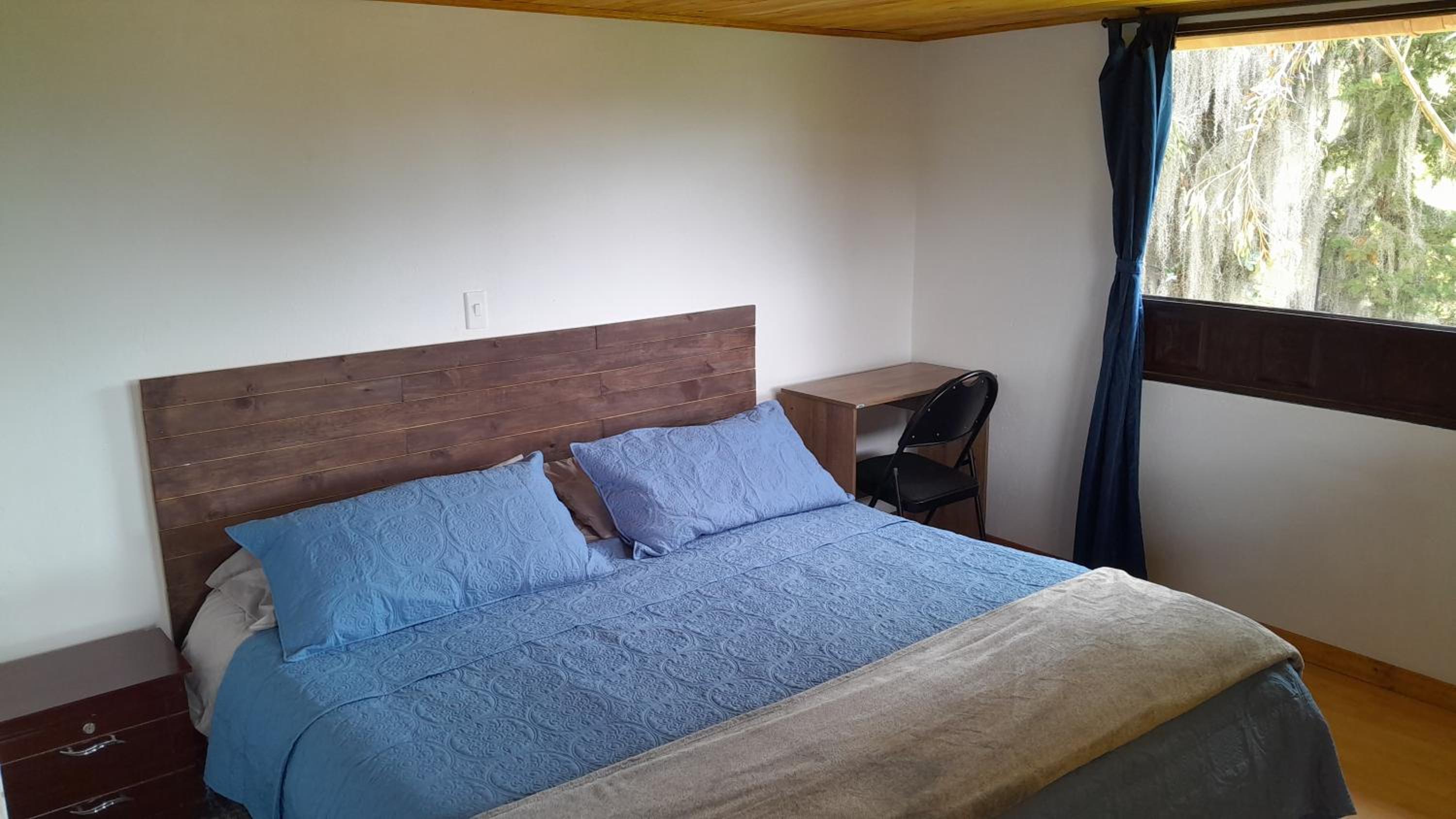 Double Room with Garden View photo 1