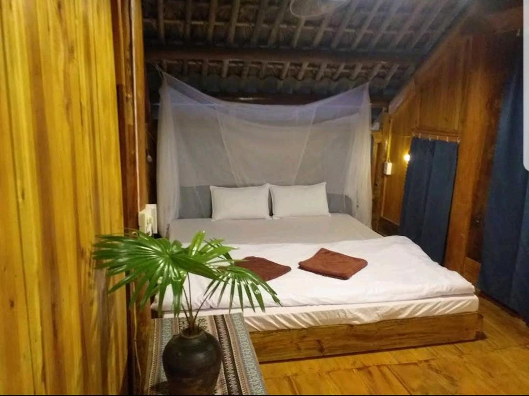 King Room with Garden View
