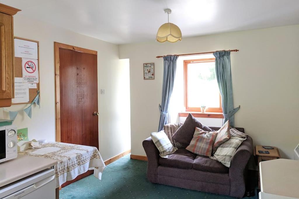 One-Bedroom House photo 3