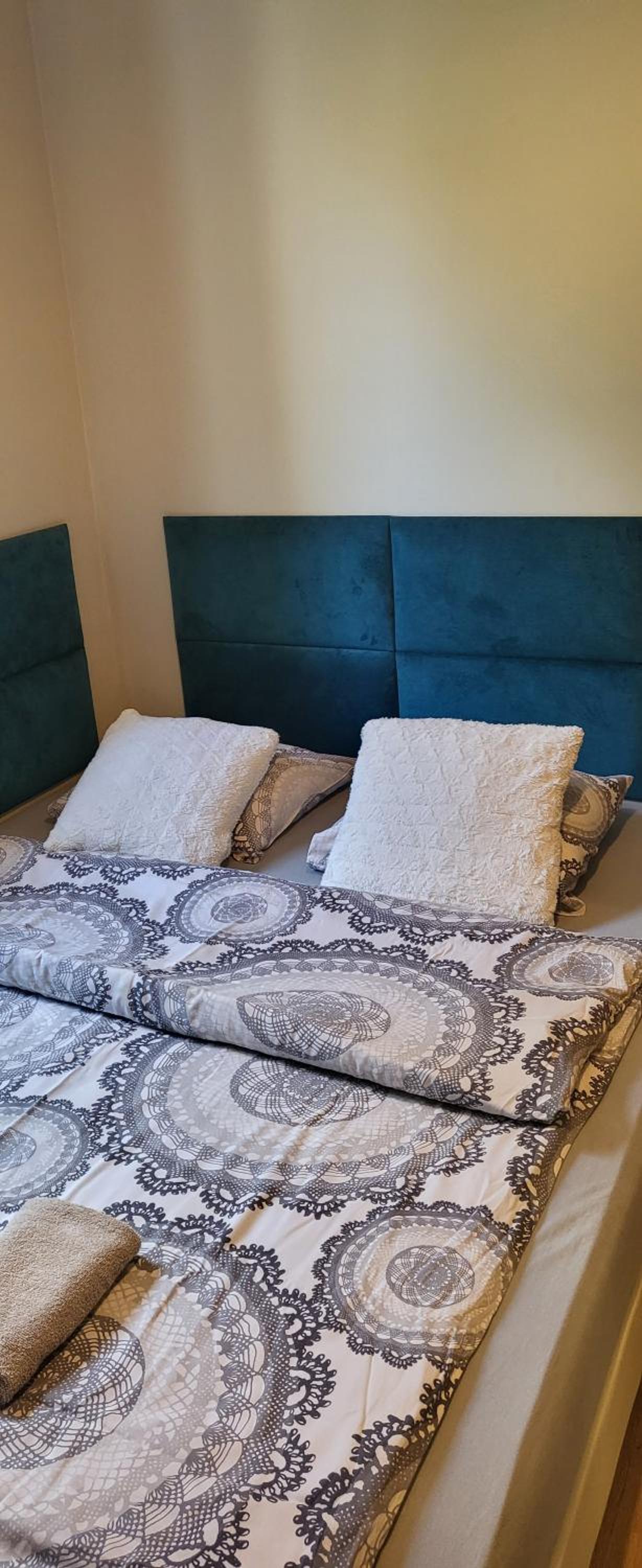 Apartment - Photo 2