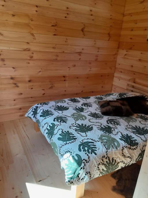 One-Bedroom House photo 3