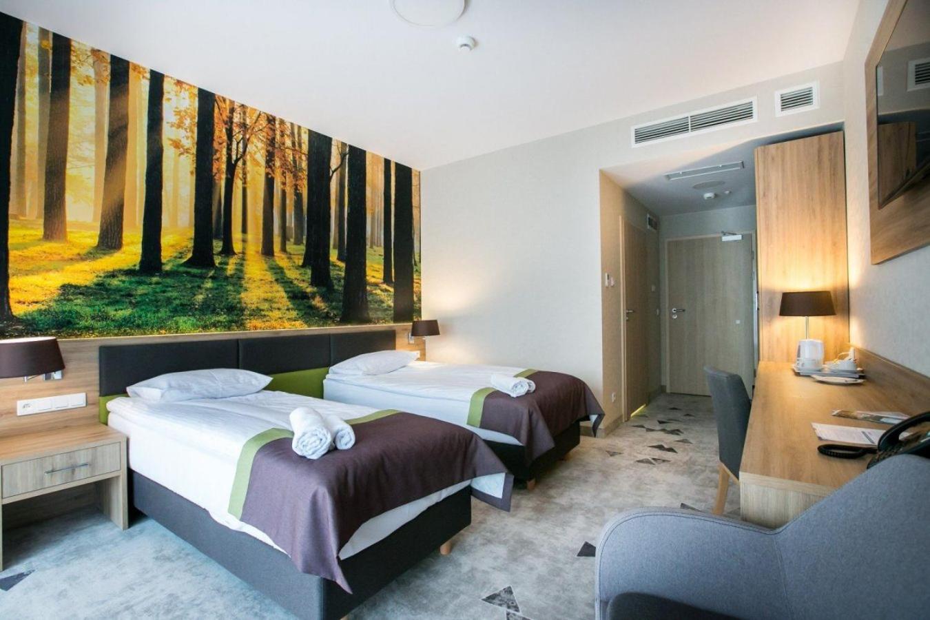 Comfort Single Room - Main Building photo 2