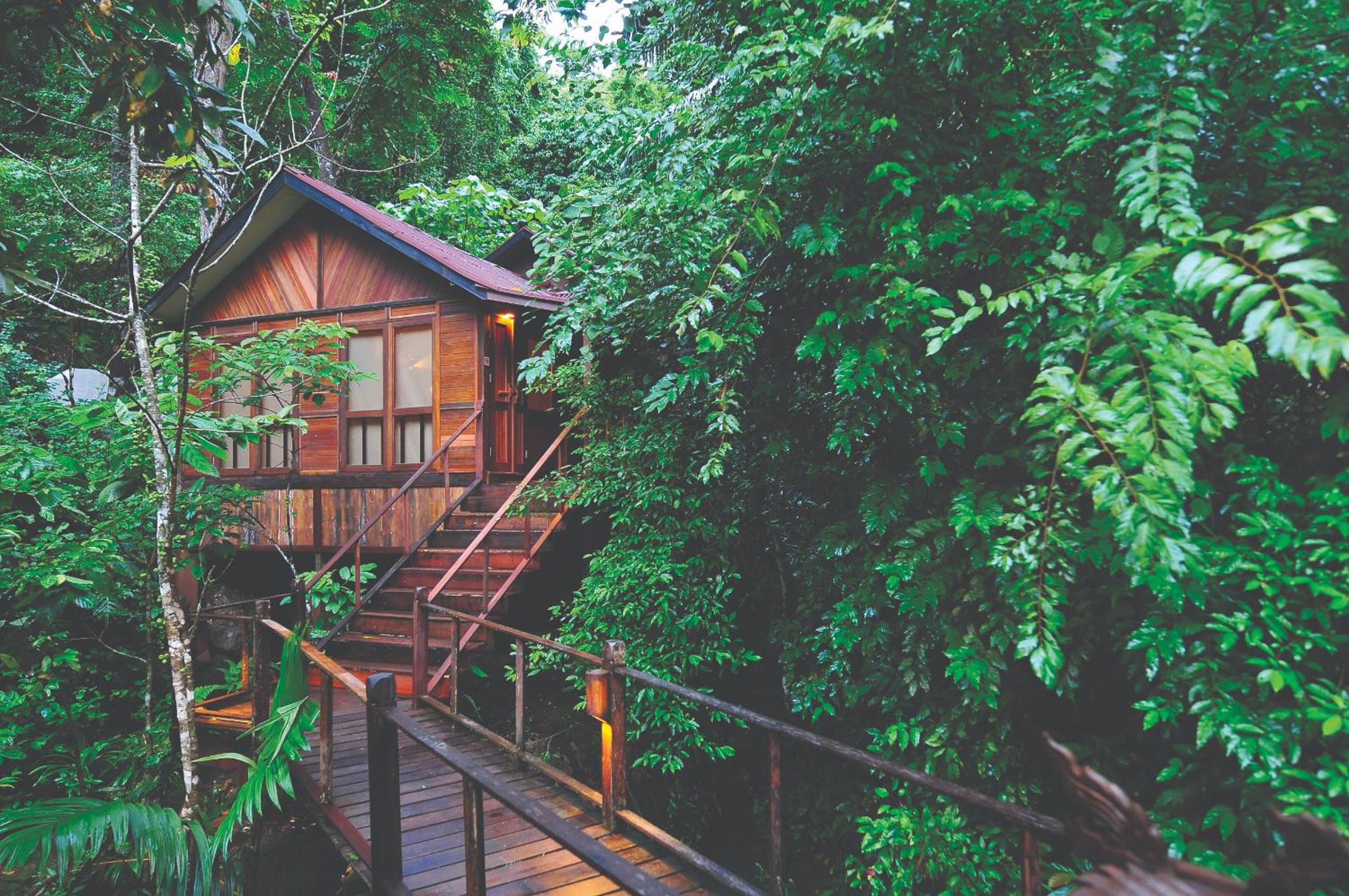 Jungle Luxe Sarang (with Terrace and Plunge Pool) - Photo 6