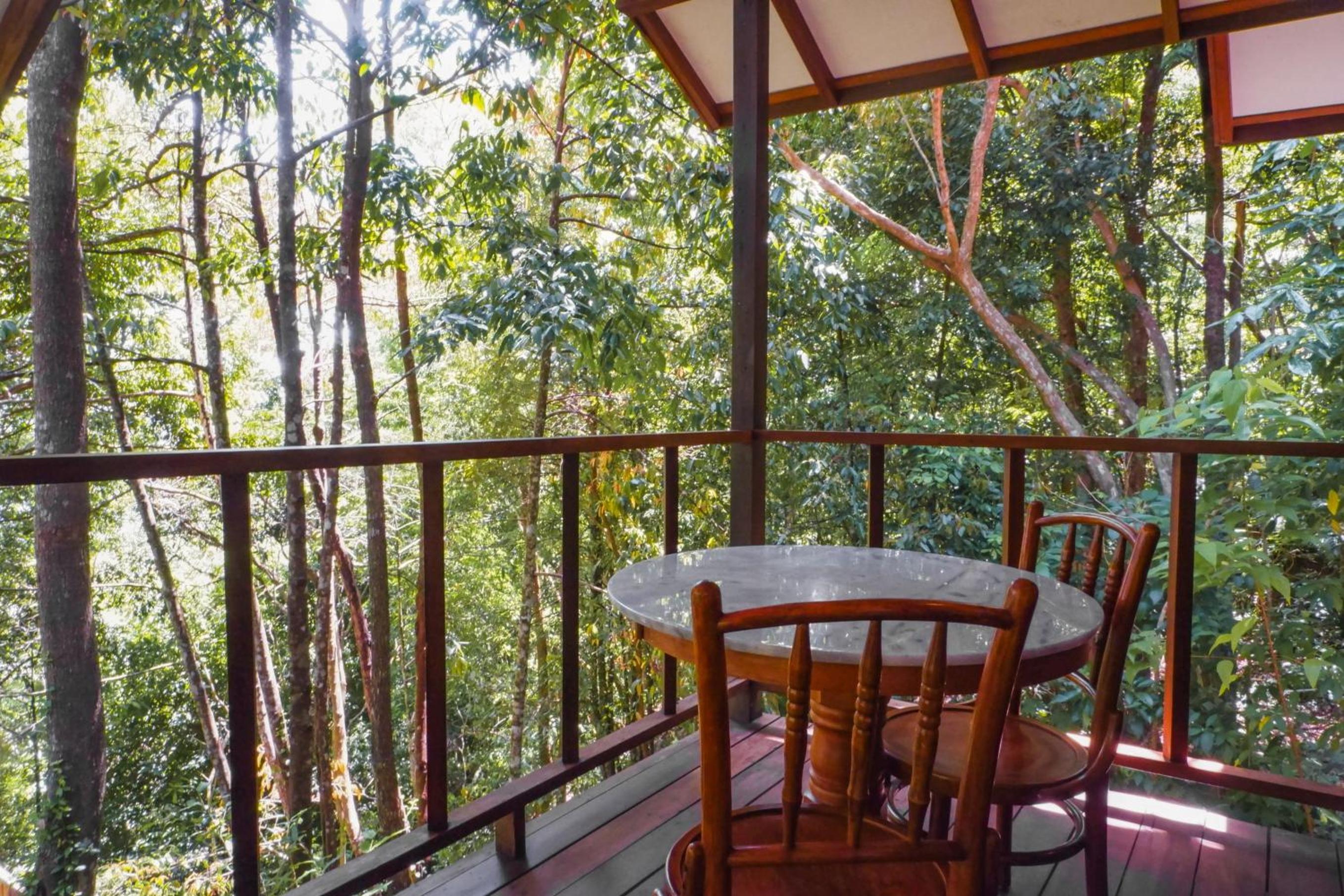 Treetop Chalet (with Balcony and Rainforest View) - Photo 1