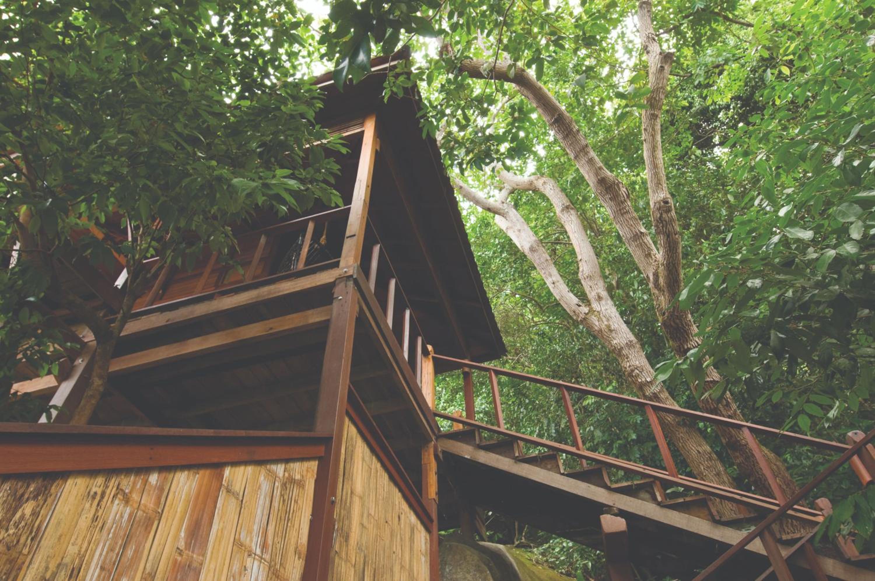 Treetop Chalet (with Balcony and Rainforest View) - Photo 3