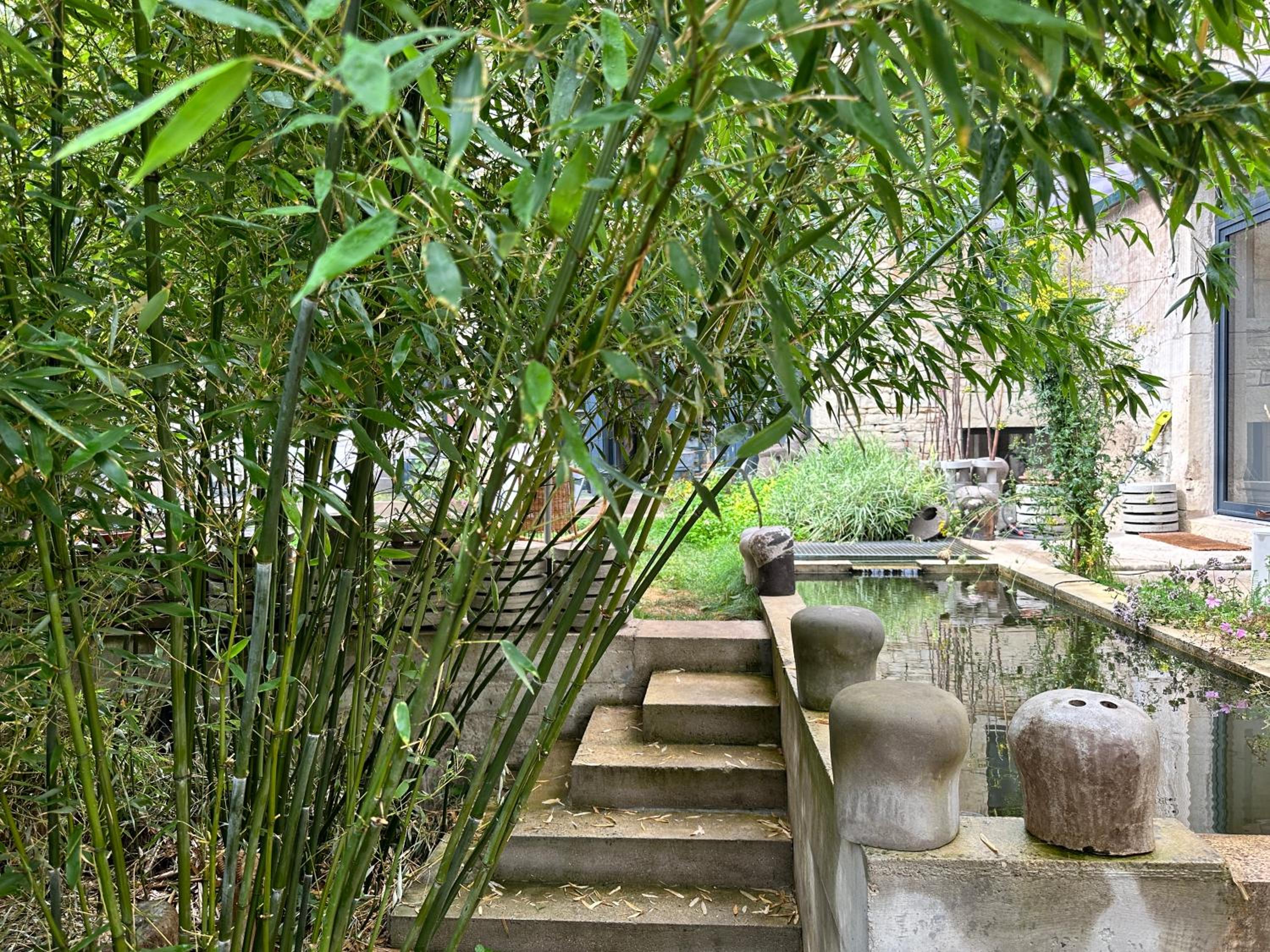 Double Room with Garden View photo 3