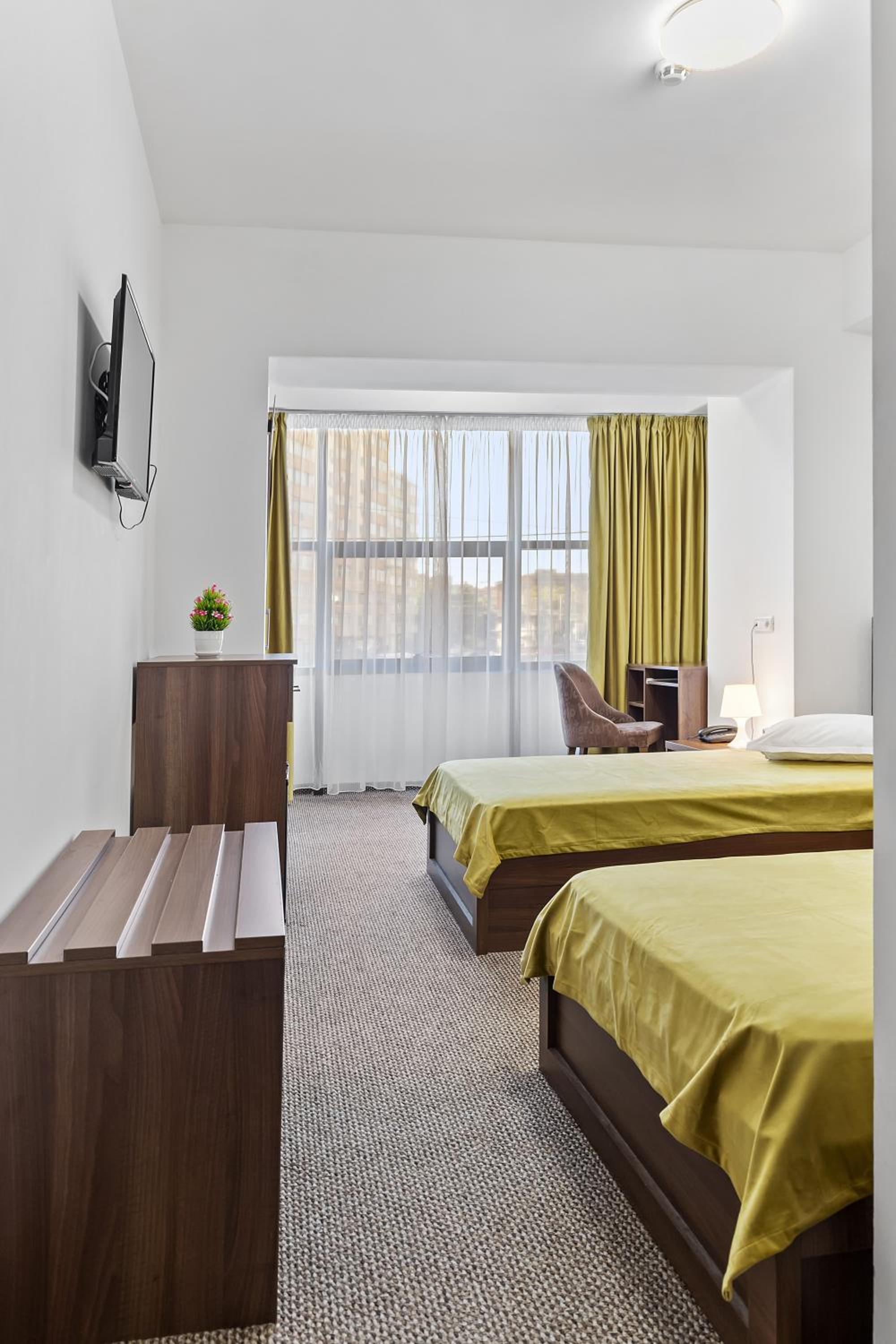 Twin Room photo 2