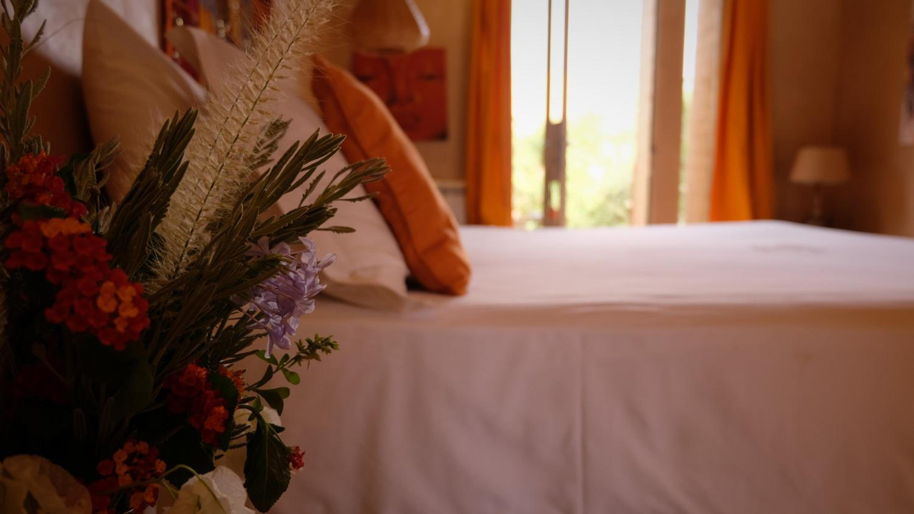 Deluxe Suite - Photo 2