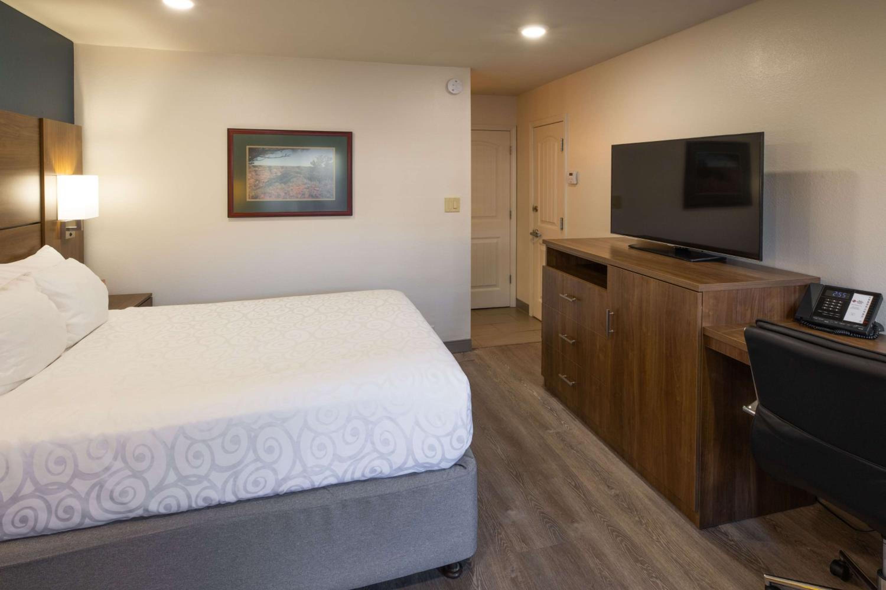 Queen Room - Pet Friendly/Non-Smoking - Photo 4