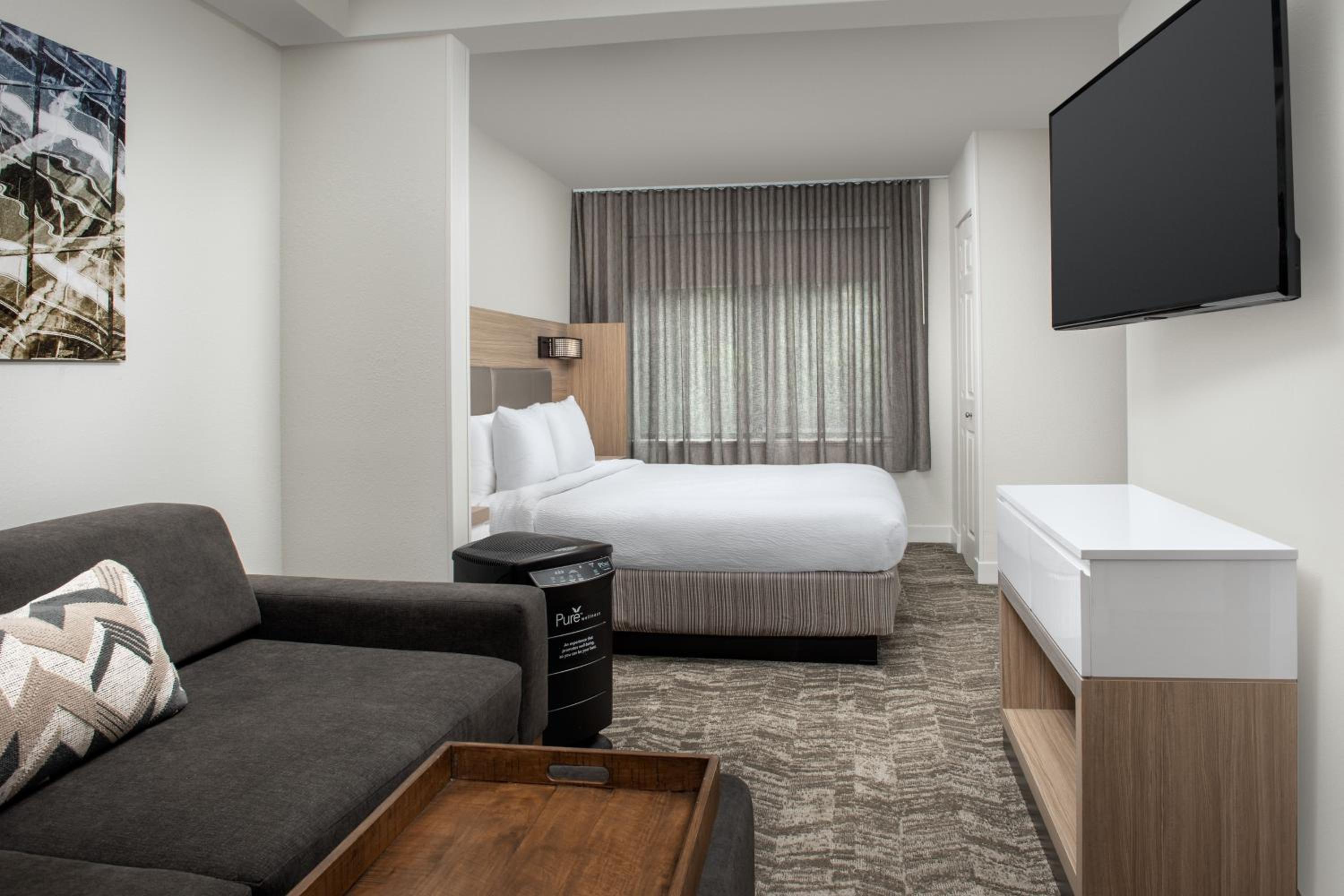Pure Wellness, Guest room, King, Sofa bed - Photo 1