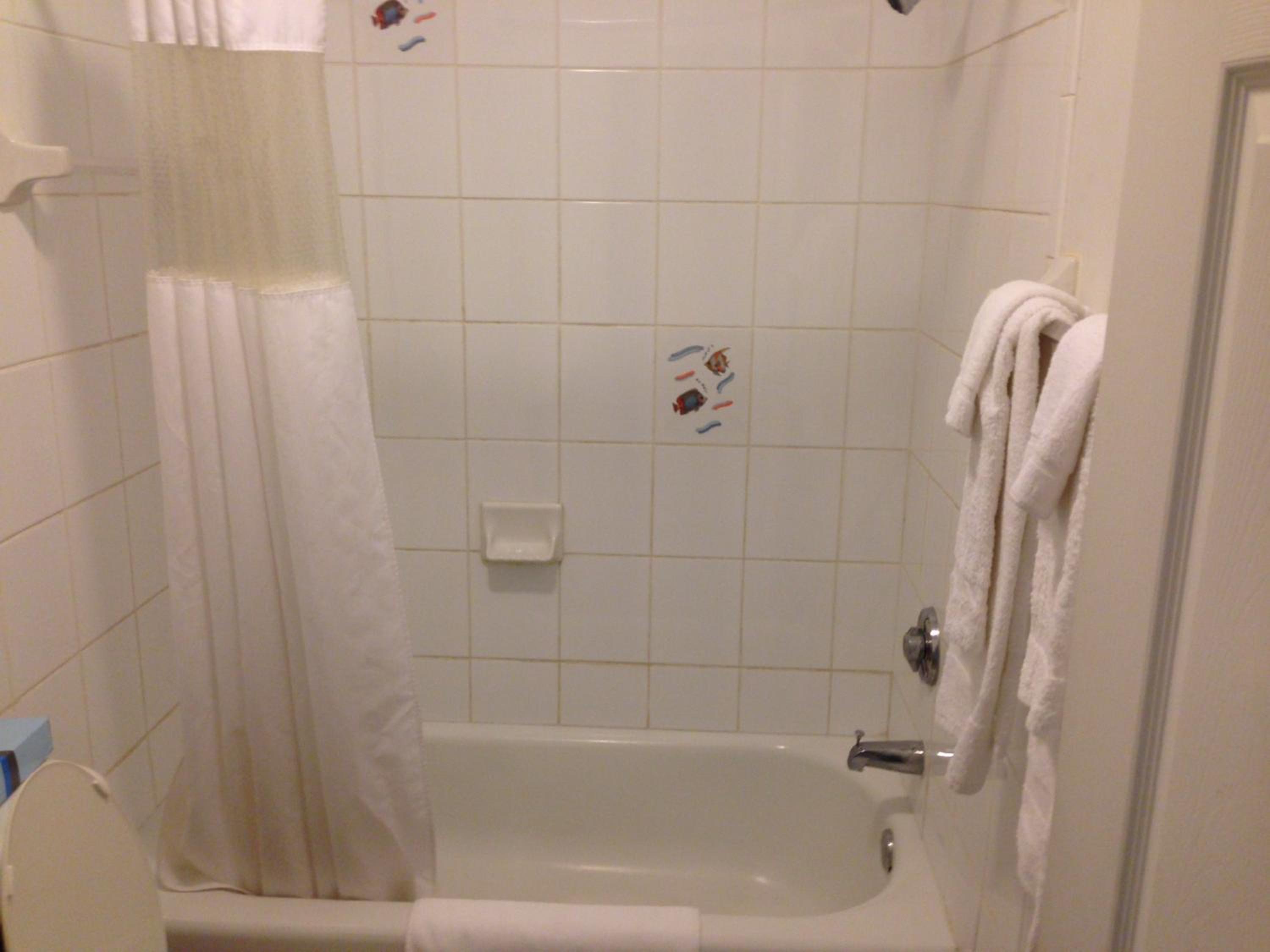 1 Queen Bed, Mobility/Hearing Impaired Accessible Room, Roll-in Shower, Non-Smoking - Photo 3