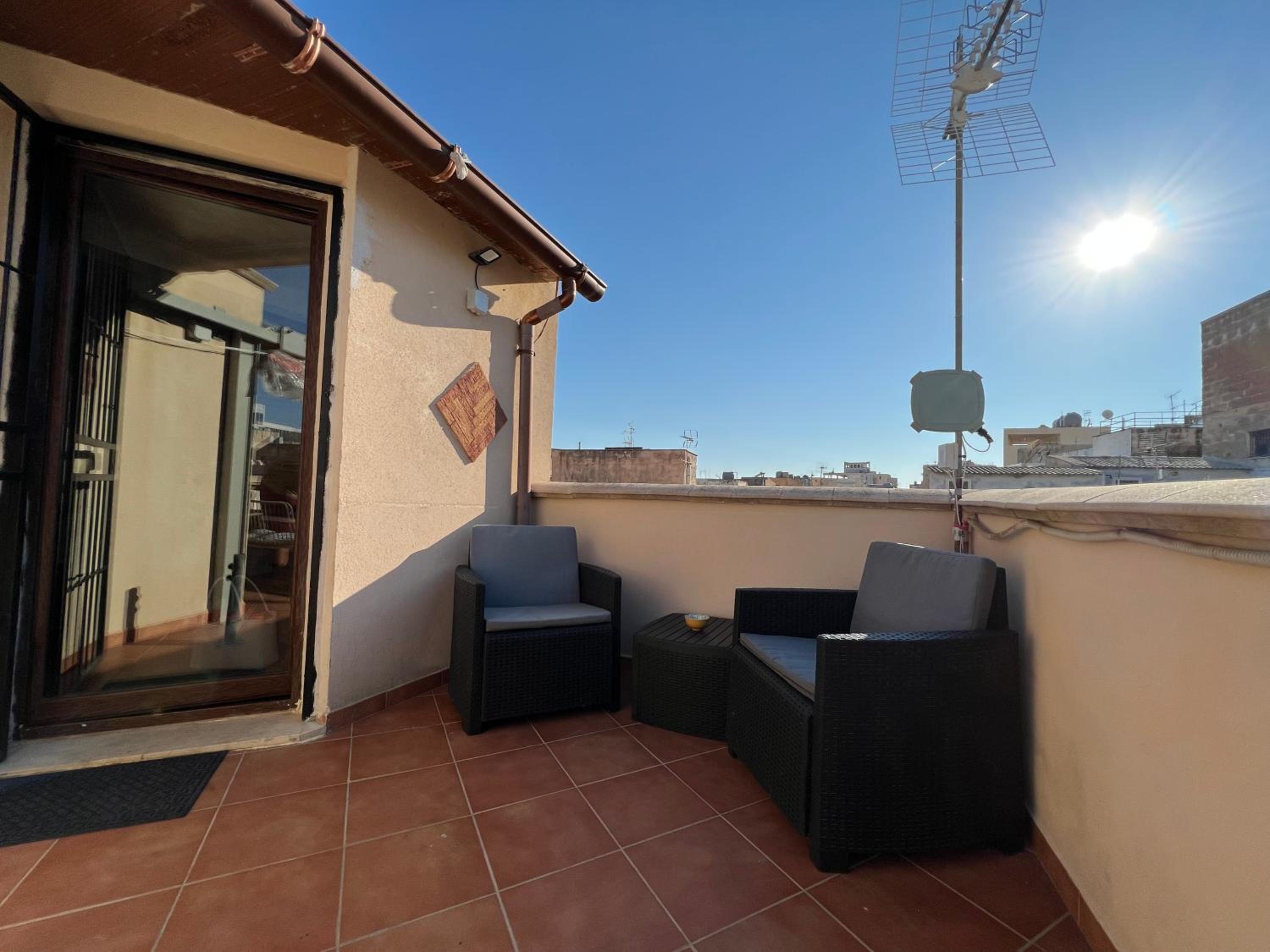 Studio with Terrace photo 2