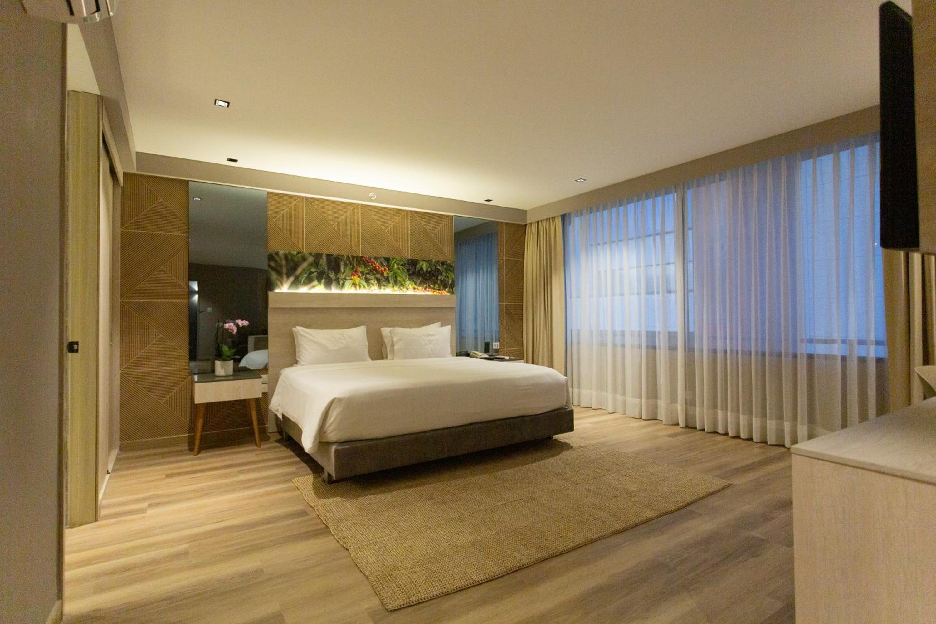 Suite - Photo 4