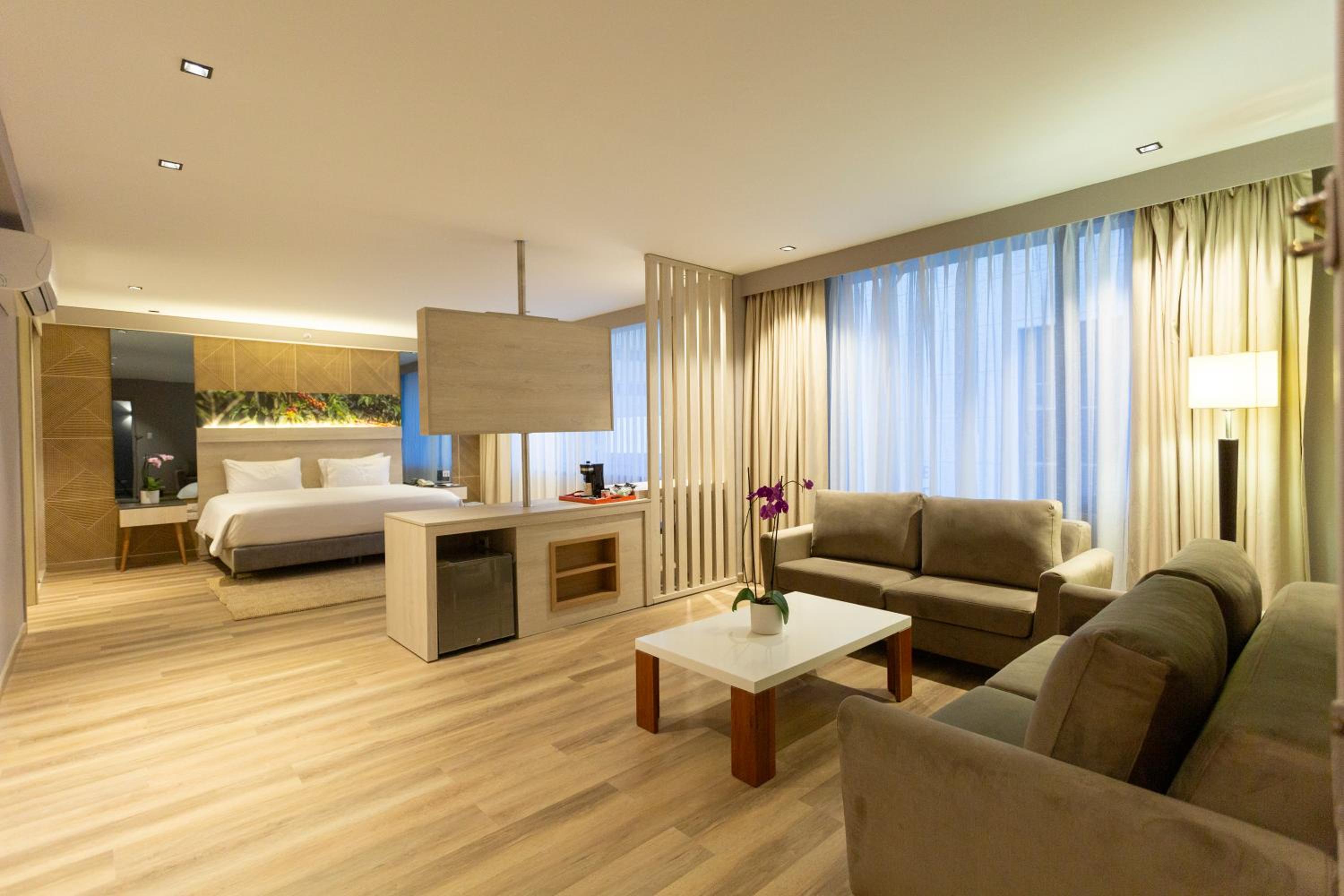 Suite - Photo 1