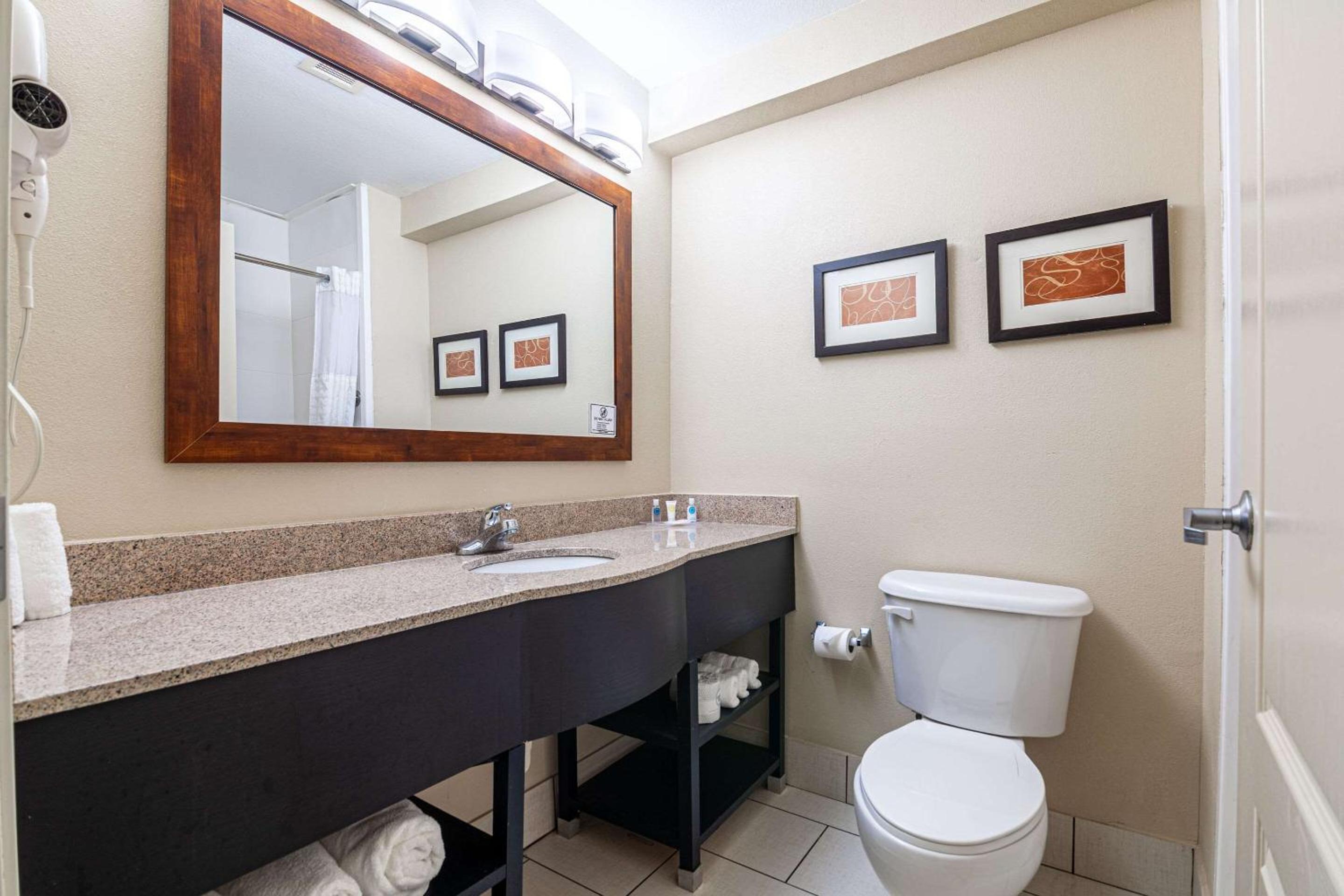 King Suite - Non-Smoking - Photo 10