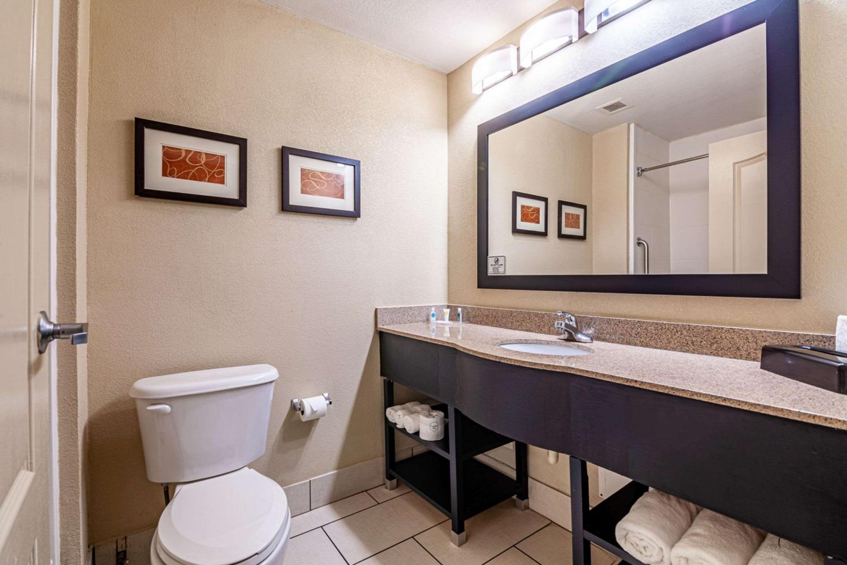 King Suite - Non-Smoking - Photo 9